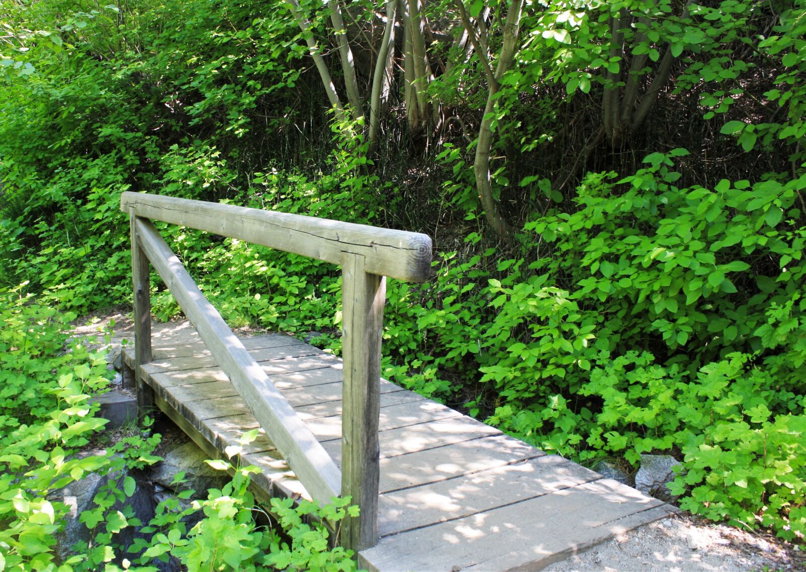 Canon EOS 1000D (EOS Digital Rebel XS / EOS Kiss F) sample photo. Bridge, green, landscape photography