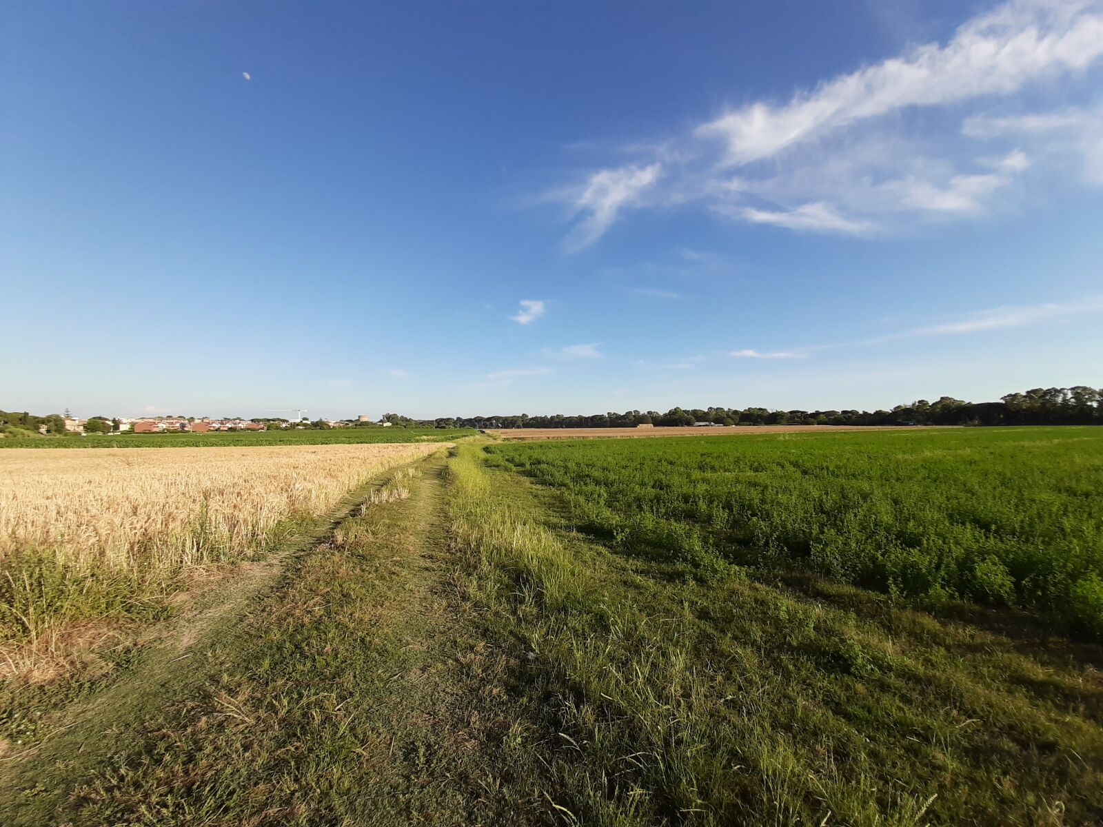 Samsung Galaxy A50 sample photo. Field, campaign, agriculture photography