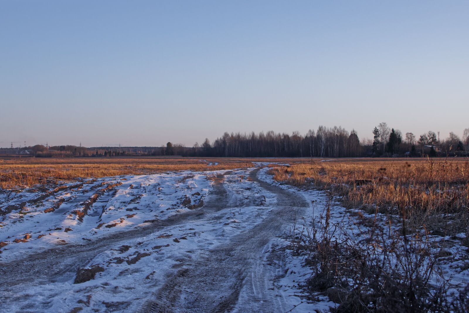 Canon EOS 500D (EOS Rebel T1i / EOS Kiss X3) sample photo. Landscape, background, field photography
