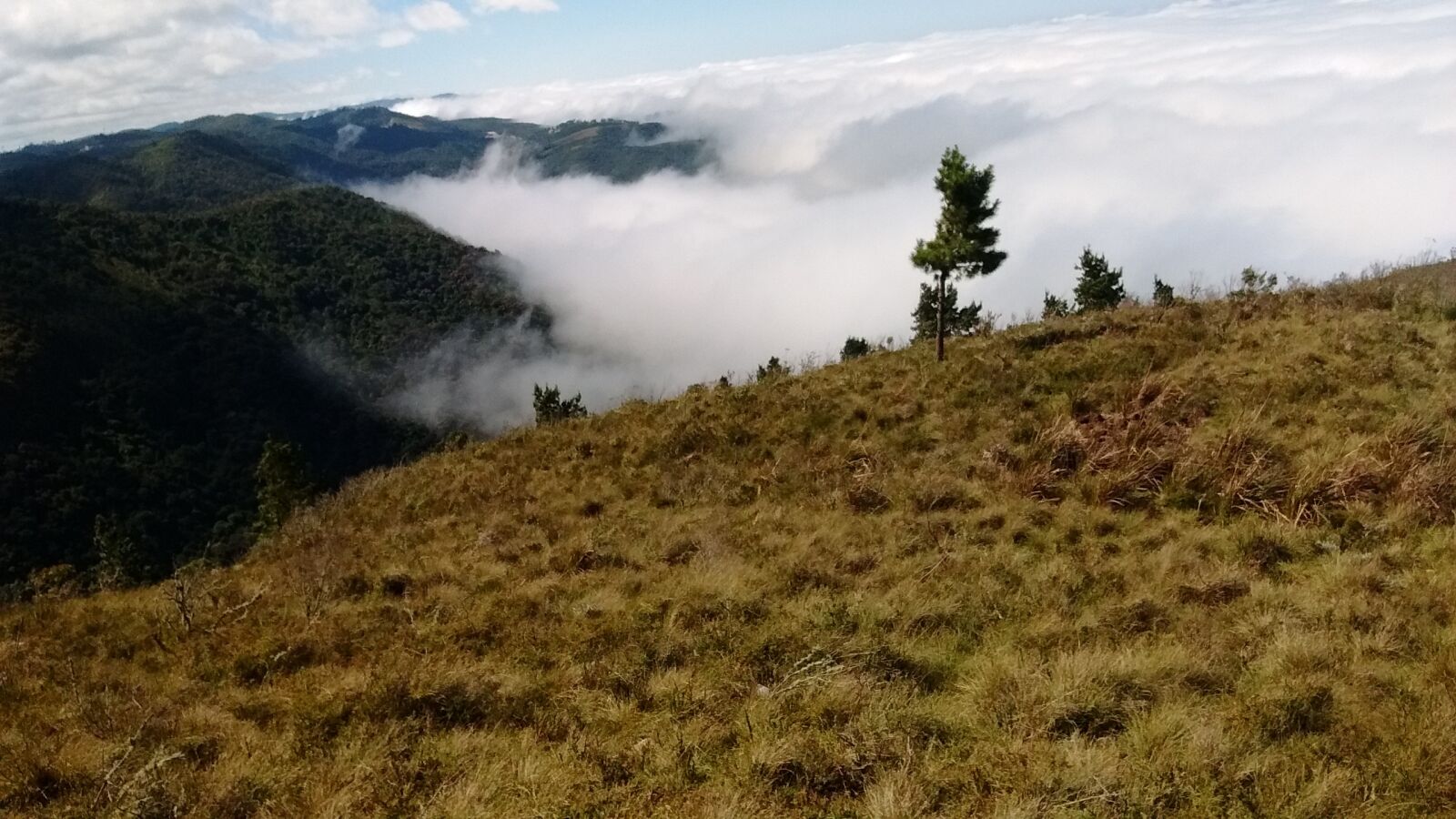 Motorola MotoG3 sample photo. Nature, sky, clouds photography