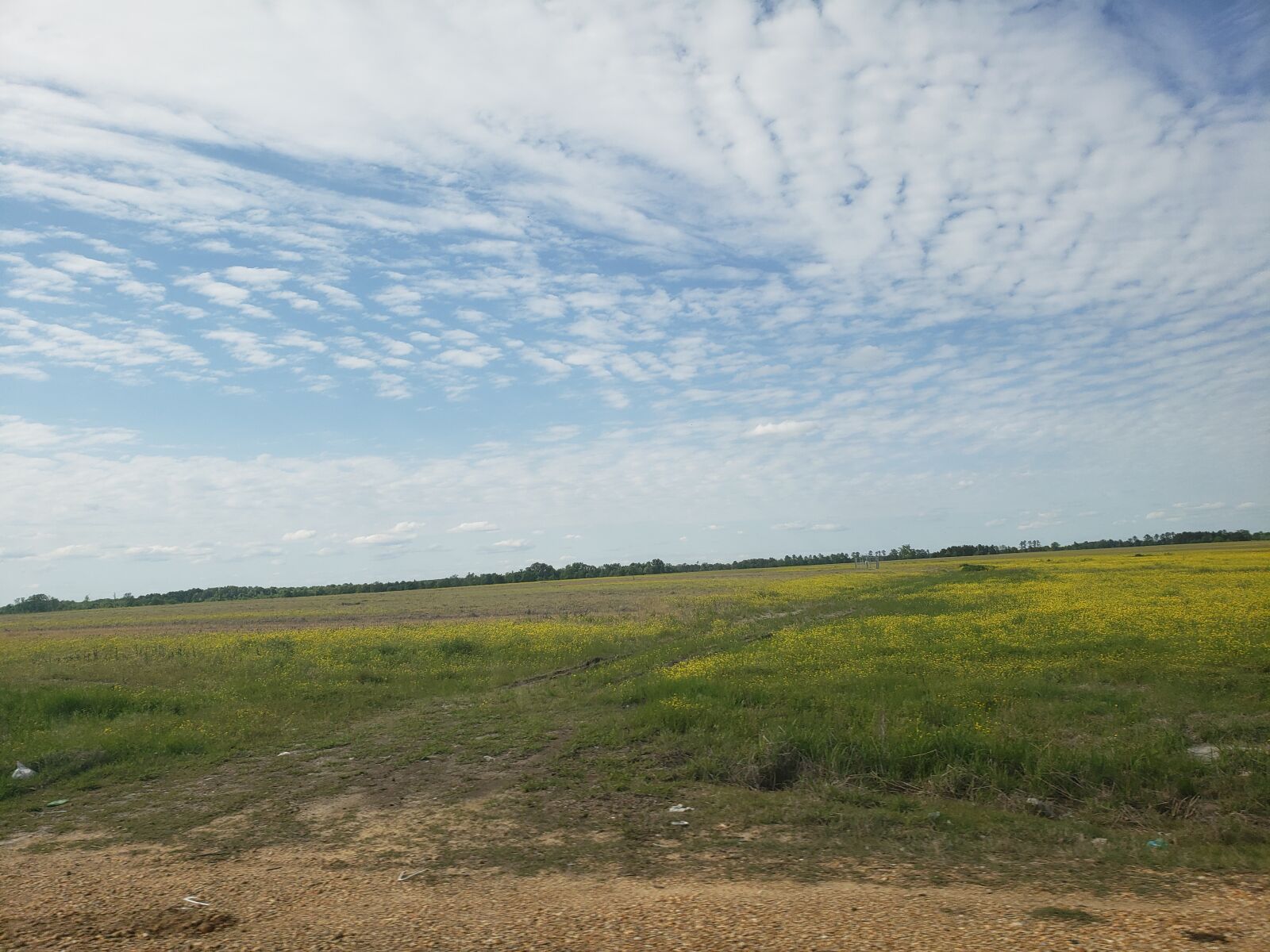 Samsung Galaxy S9+ sample photo. Landscape, sky, farm photography