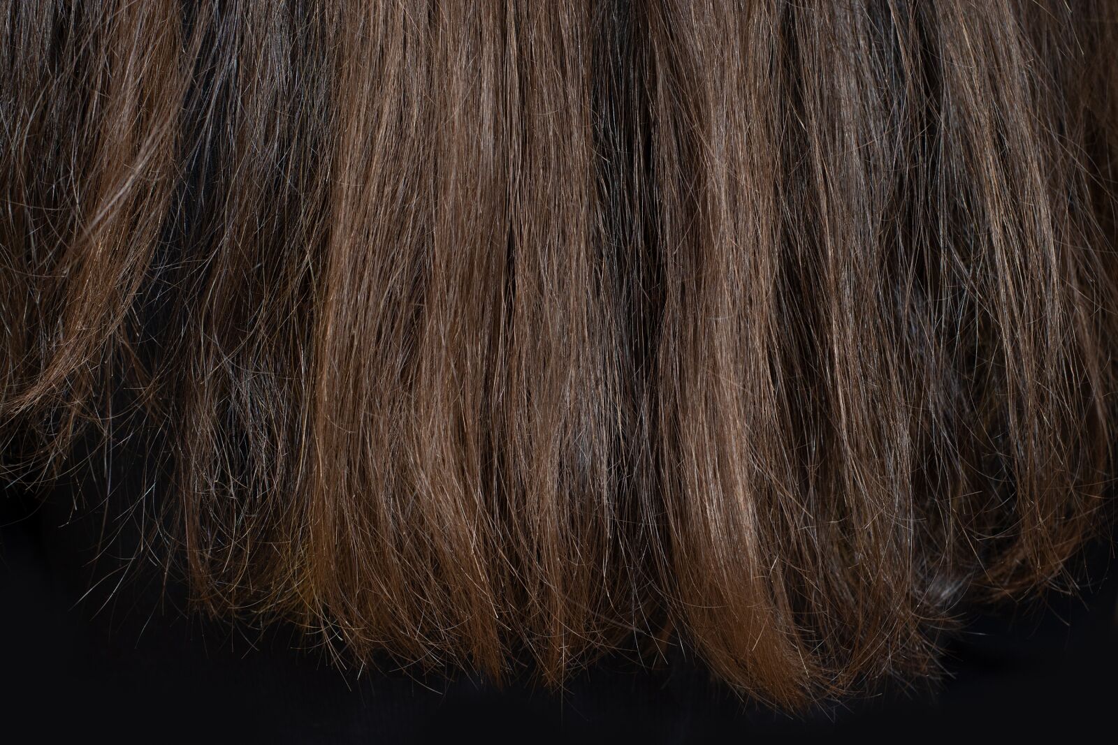 Nikon D7100 sample photo. Hair, brown, female photography