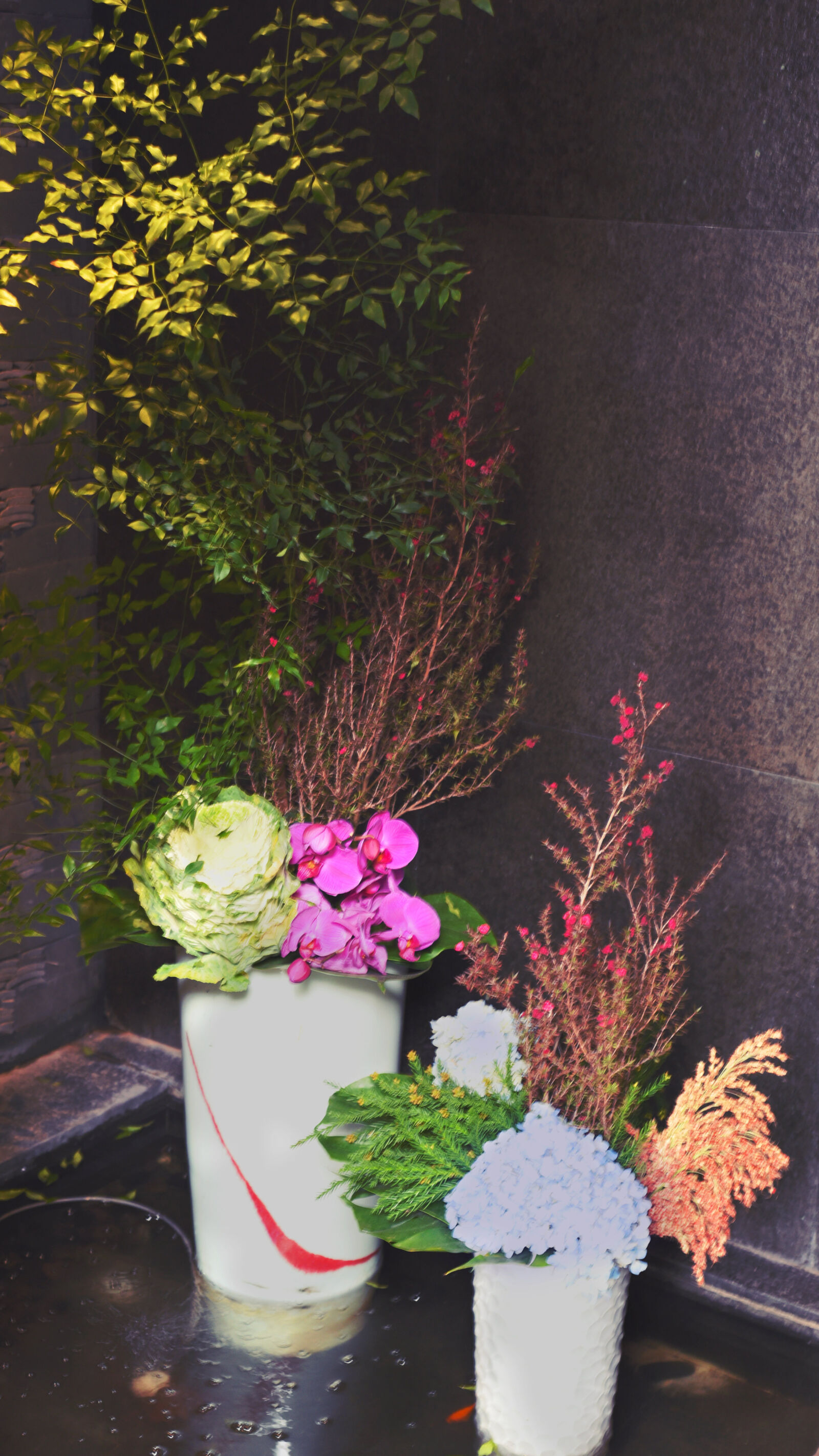 Nikon D750 sample photo. Corner, flower photography