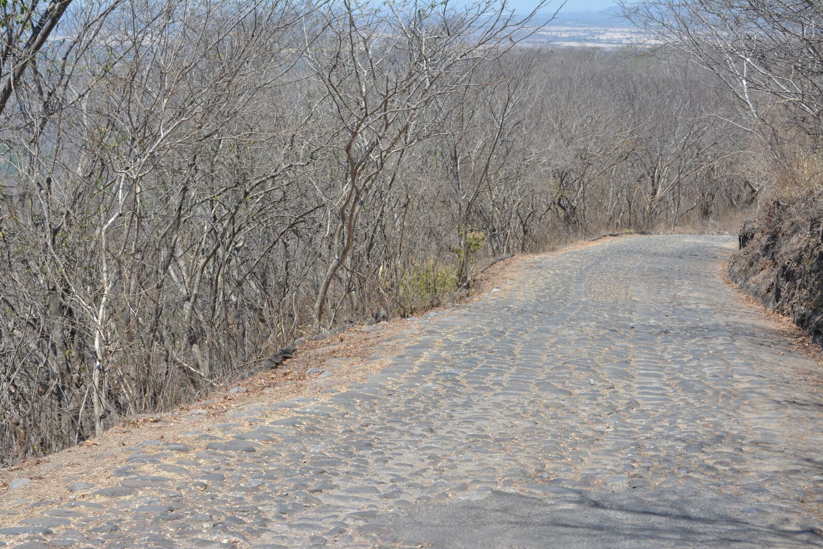 Nikon D5200 sample photo. Path, landscape, desert photography