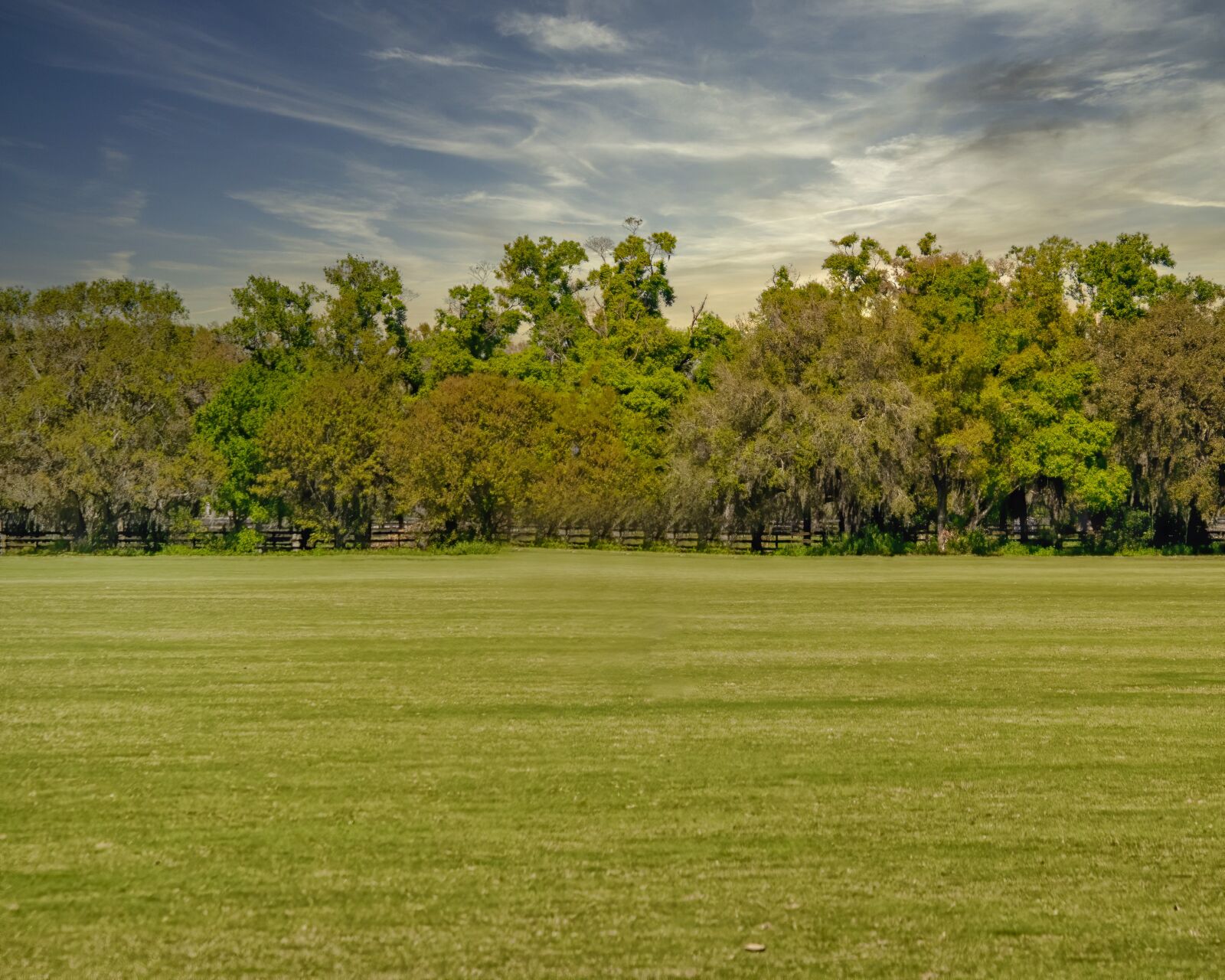 Canon EOS M5 sample photo. Playing field, lawn, sport photography