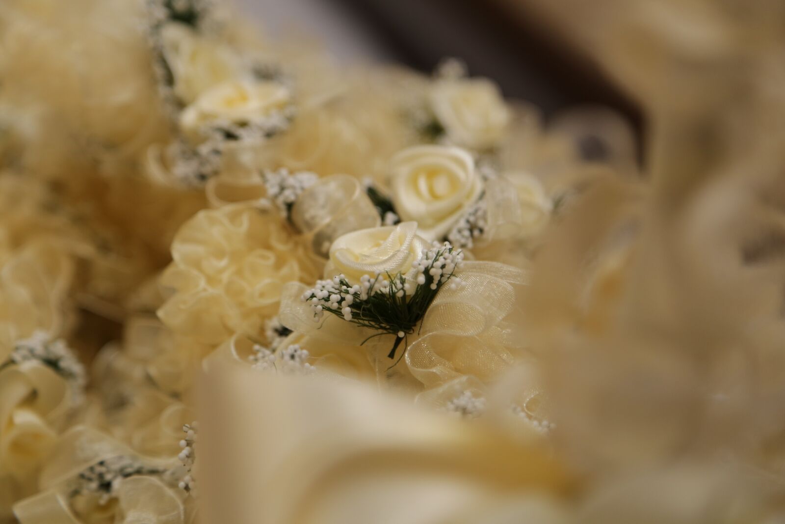 Canon EF 24-105mm F4L IS USM sample photo. Pastel, yellow, bouquet, roses photography
