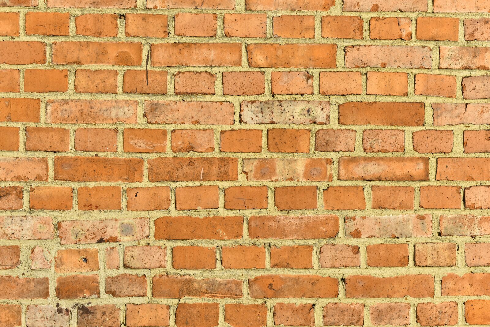 Nikon D810 sample photo. Wall, brick, background photography