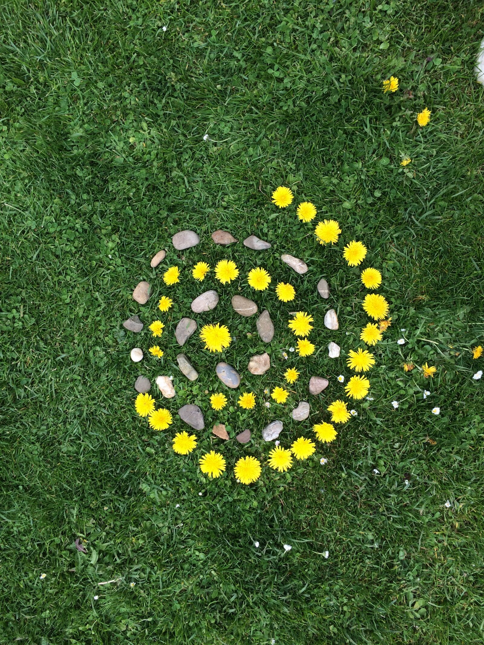 iPhone 5s back camera 4.15mm f/2.2 sample photo. Land art, children, flowers photography