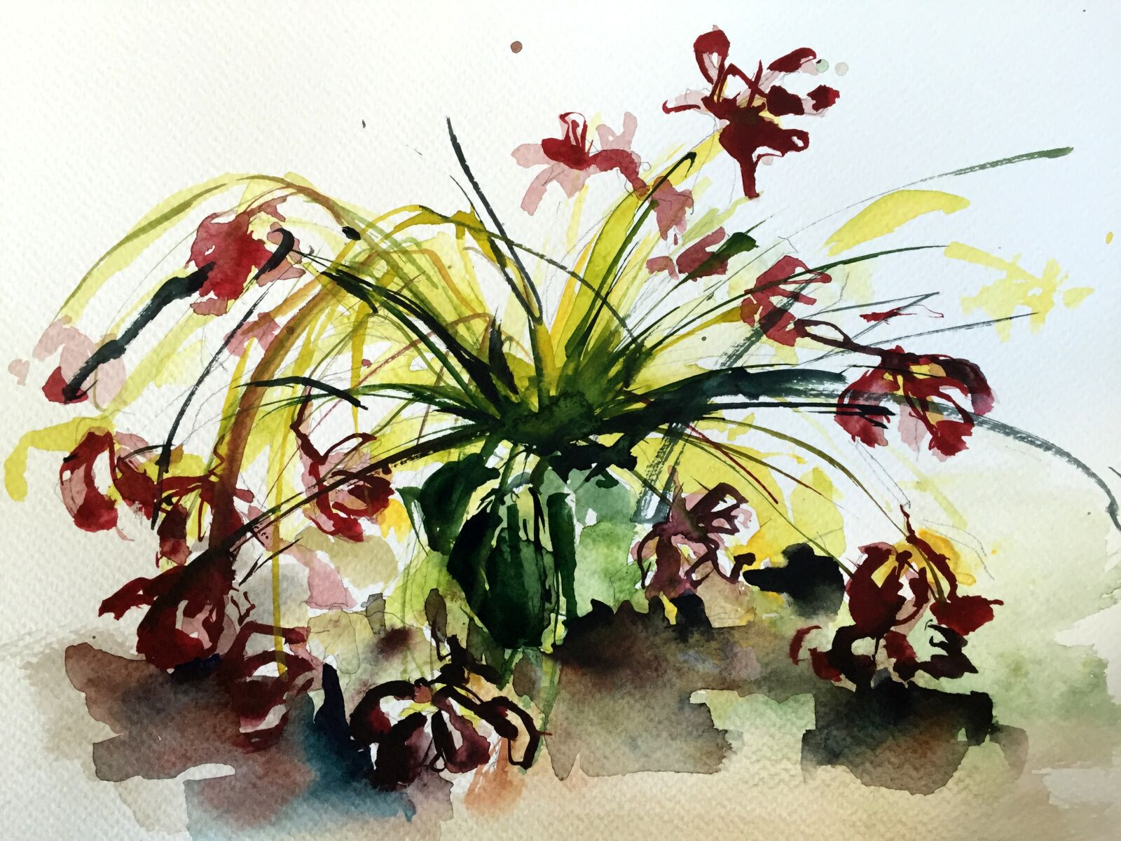 Apple iPhone 6 sample photo. Flower, watercolor, spring photography