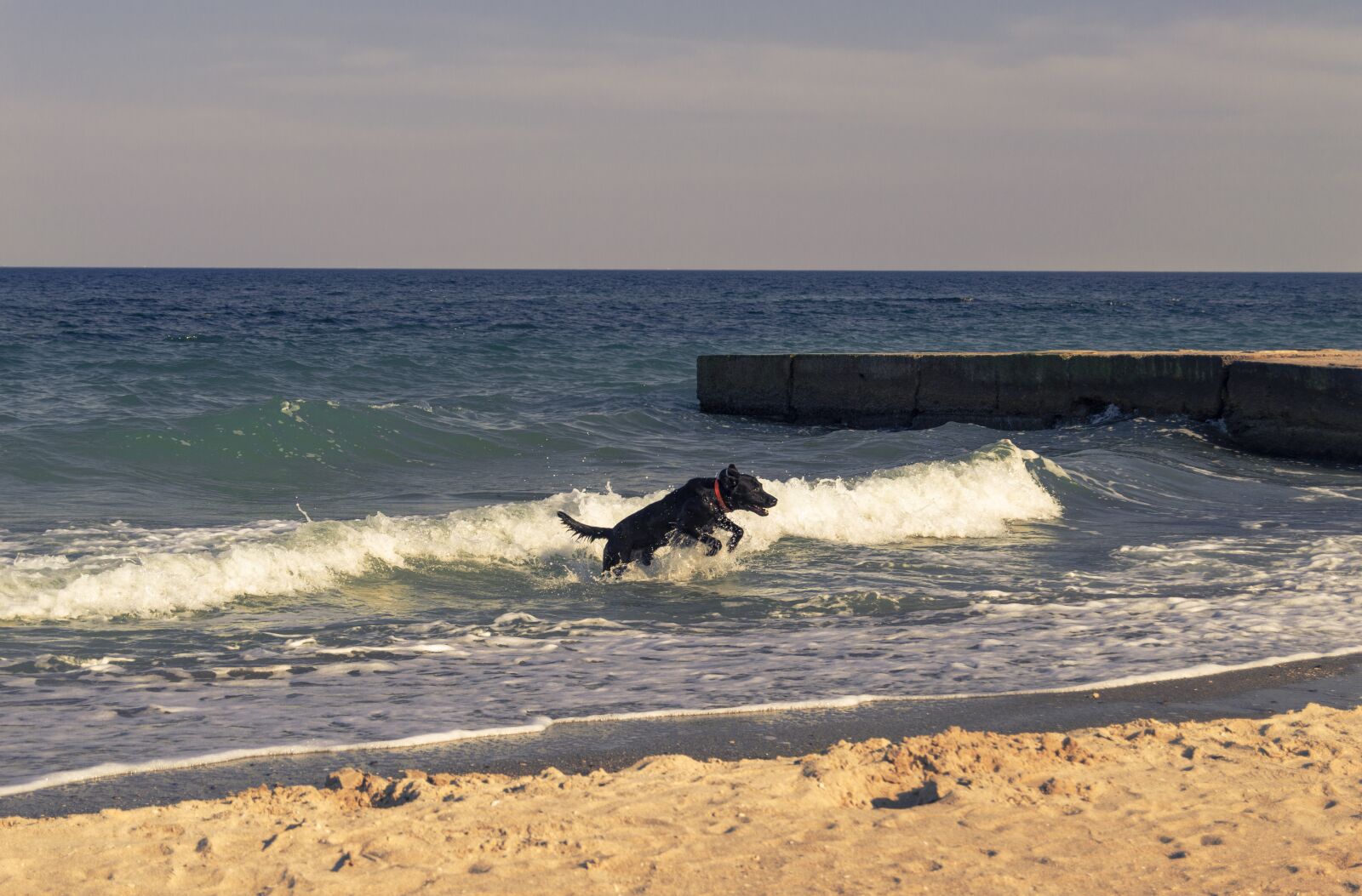 Nikon D3200 sample photo. Sea, beach, seaside photography