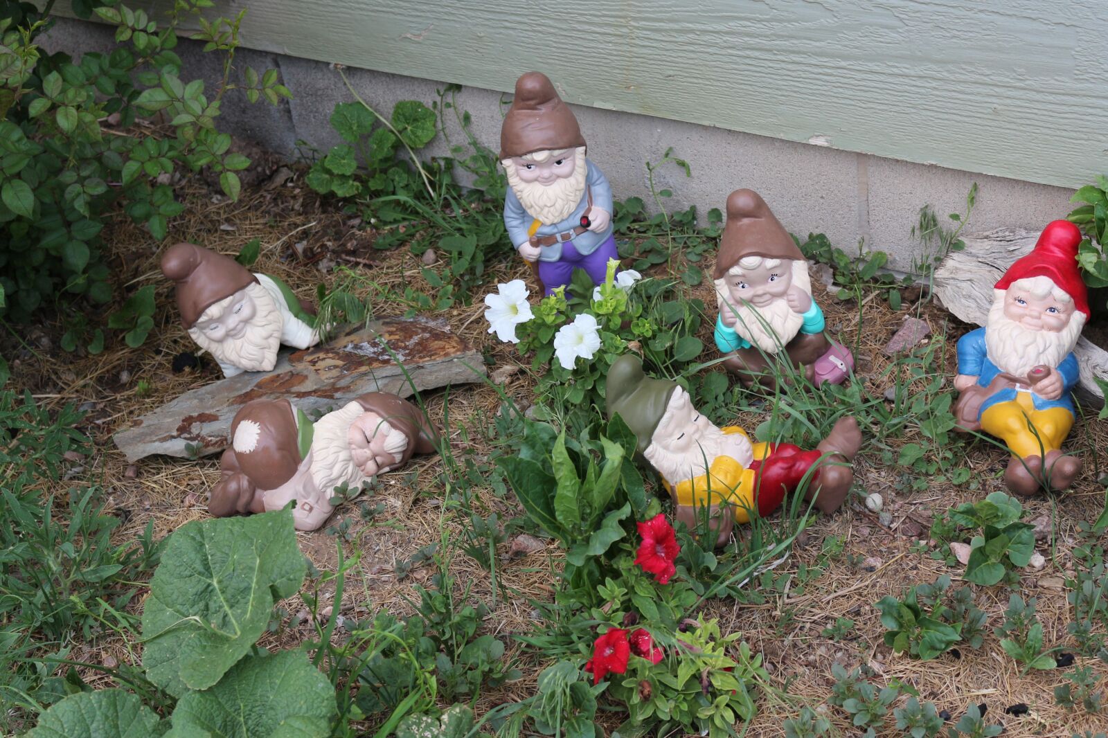 Canon EOS 650D (EOS Rebel T4i / EOS Kiss X6i) + Canon EF-S 18-55mm F3.5-5.6 IS II sample photo. Gnomes, garden ceramic, colorful photography