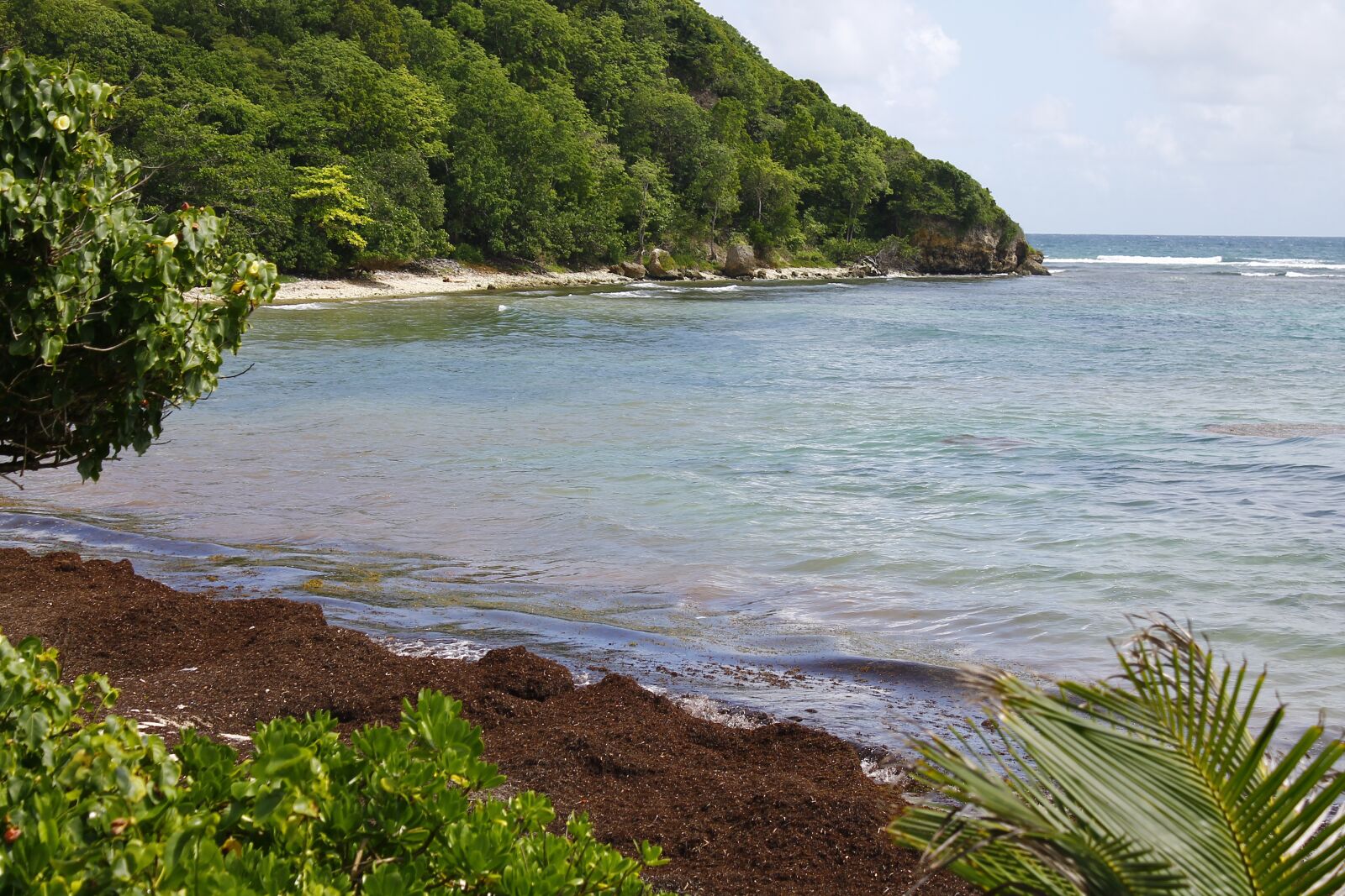 Canon EOS 1100D (EOS Rebel T3 / EOS Kiss X50) sample photo. Beach, plage, island photography