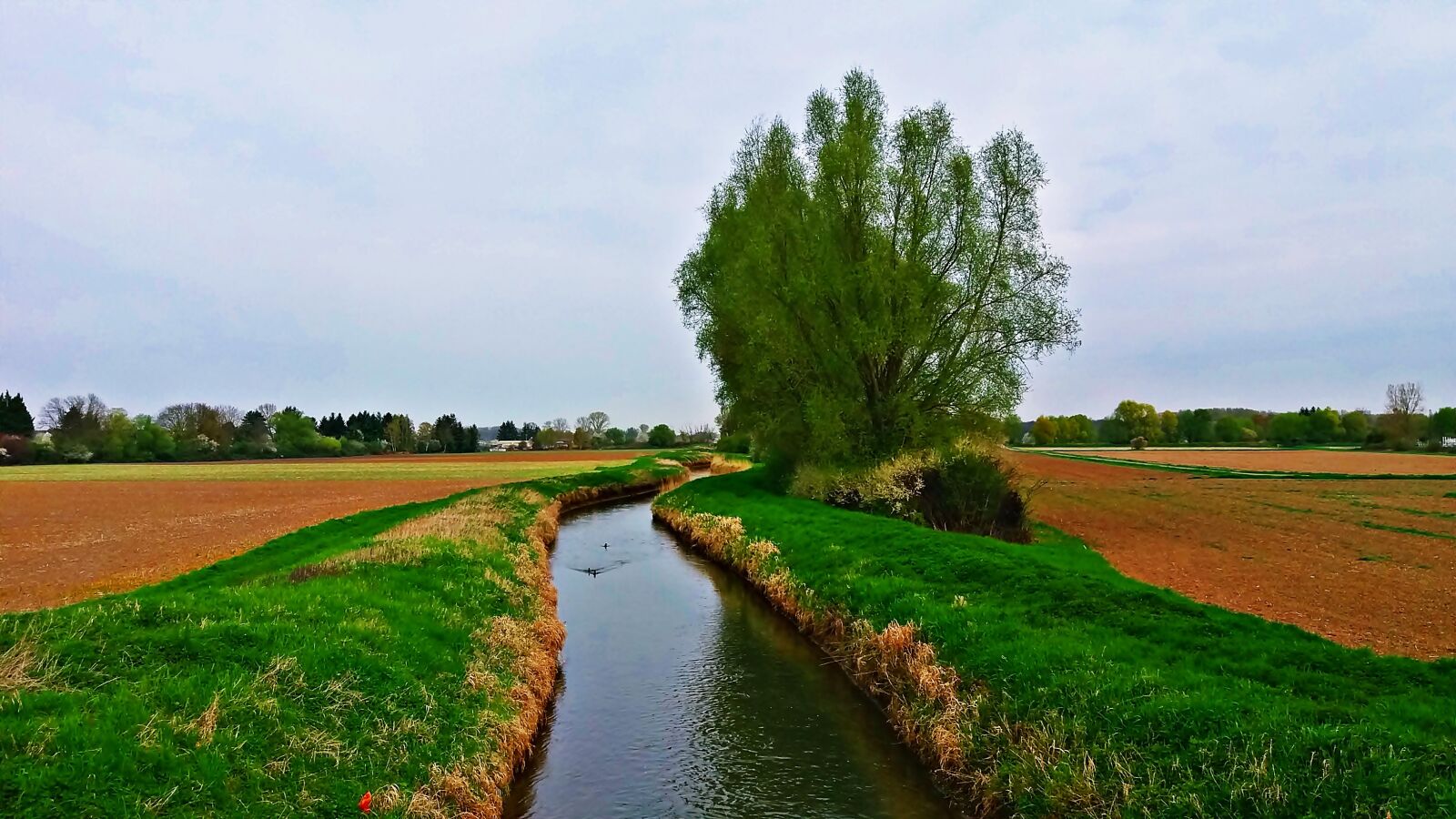 Samsung Galaxy J5 sample photo. Landscape, field, meadow photography