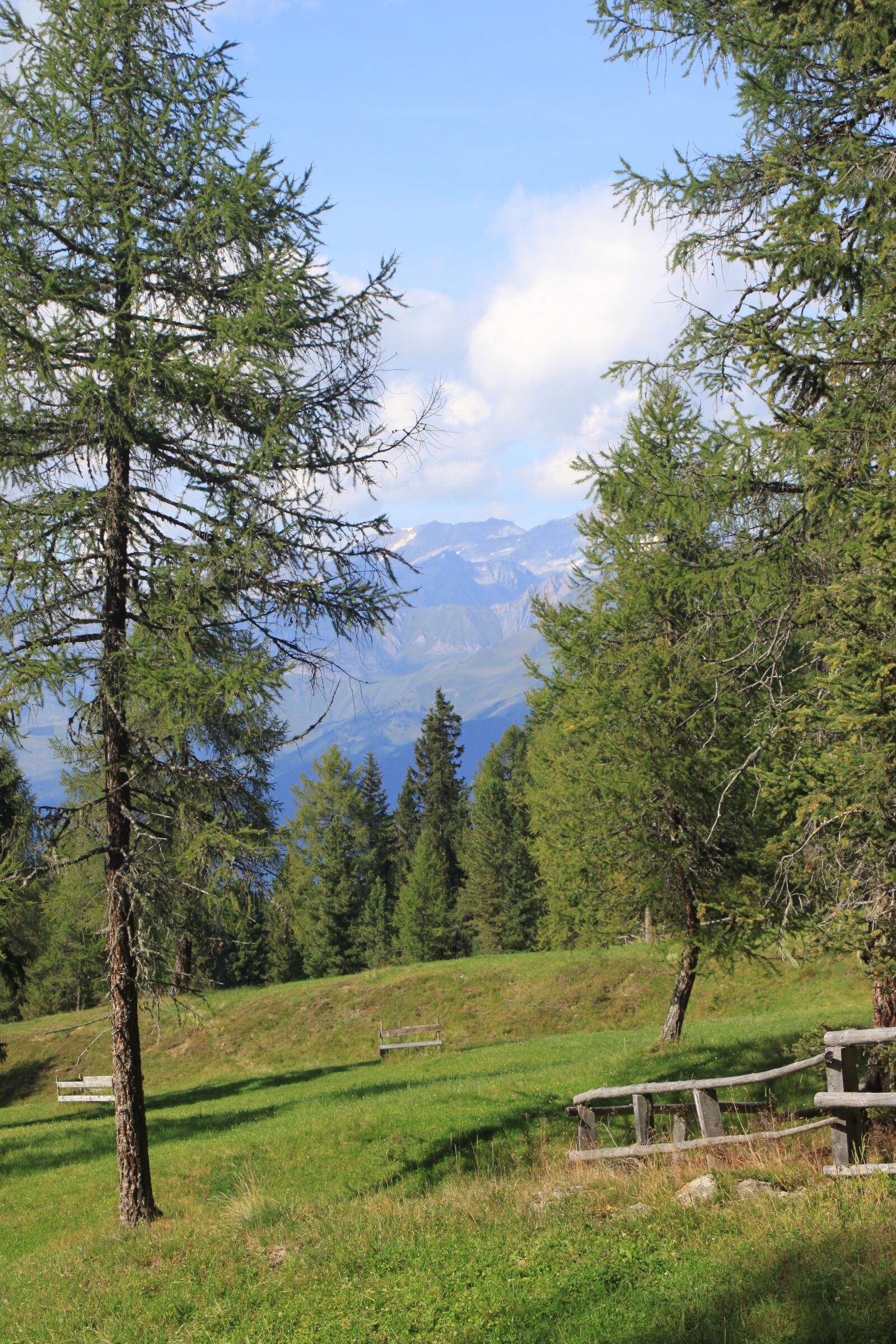 Canon EOS 500D (EOS Rebel T1i / EOS Kiss X3) sample photo. Mountains, tree, idyll photography