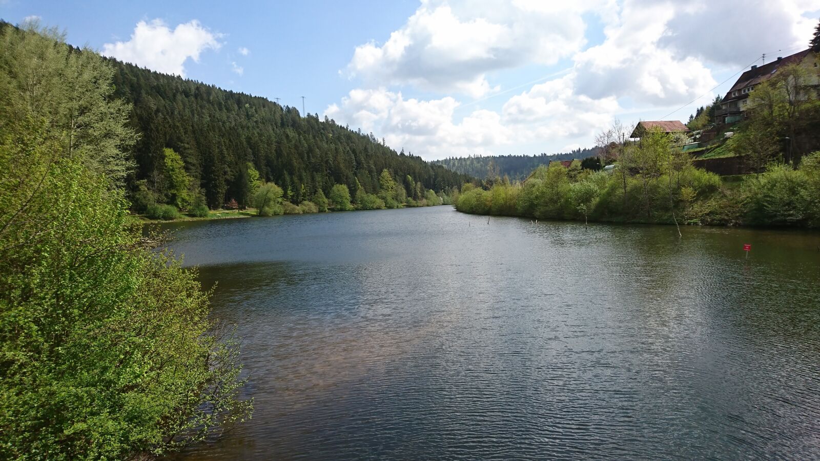 Sony Xperia XZ sample photo. Black forest, nature, lake photography
