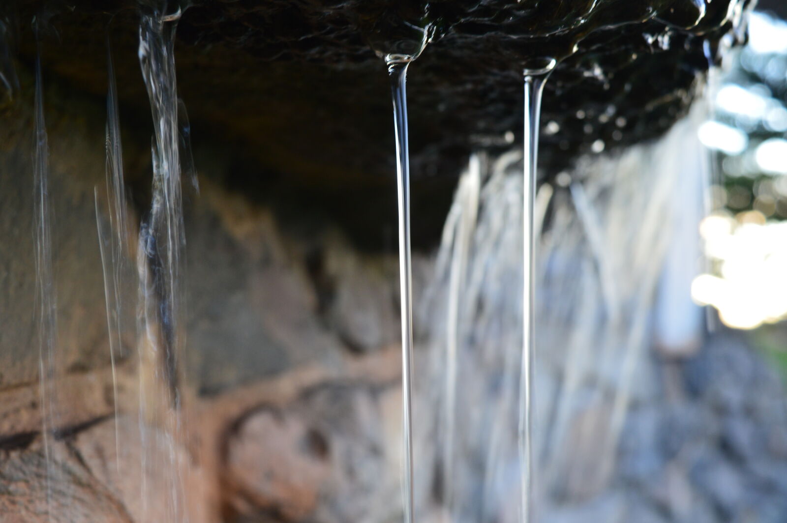 Nikon D3200 sample photo