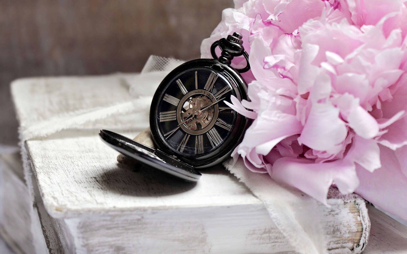 Canon EOS 100D (EOS Rebel SL1 / EOS Kiss X7) sample photo. Still life, decoration, object photography