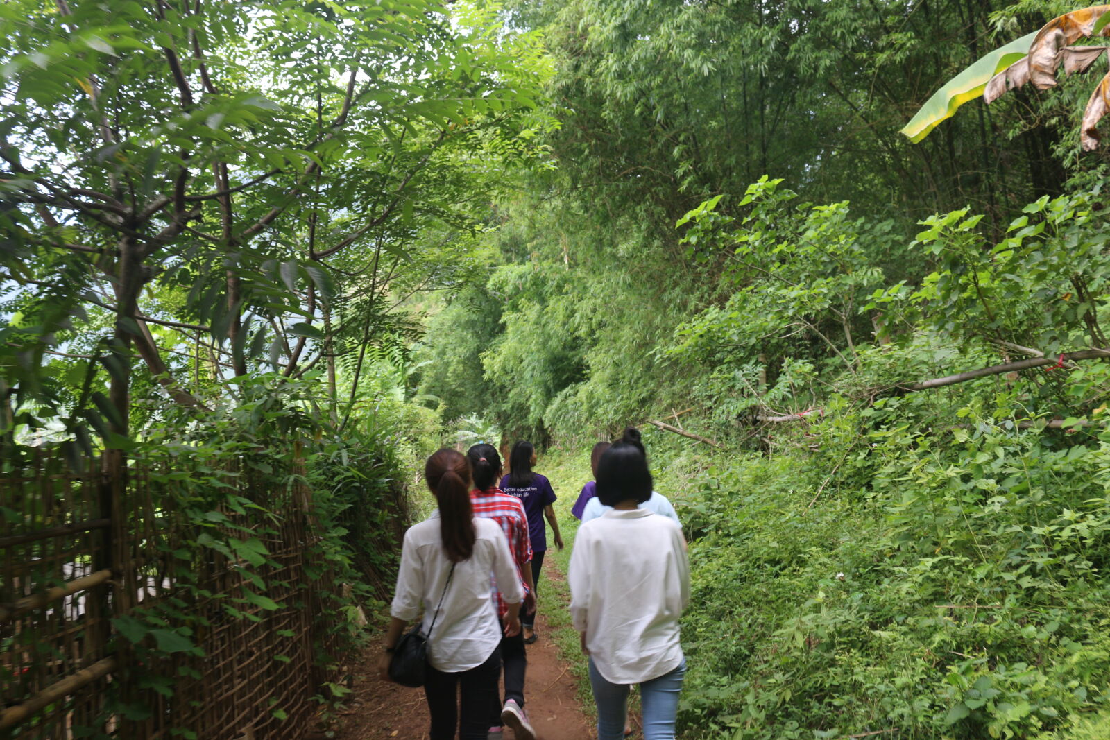 Canon EOS 70D sample photo