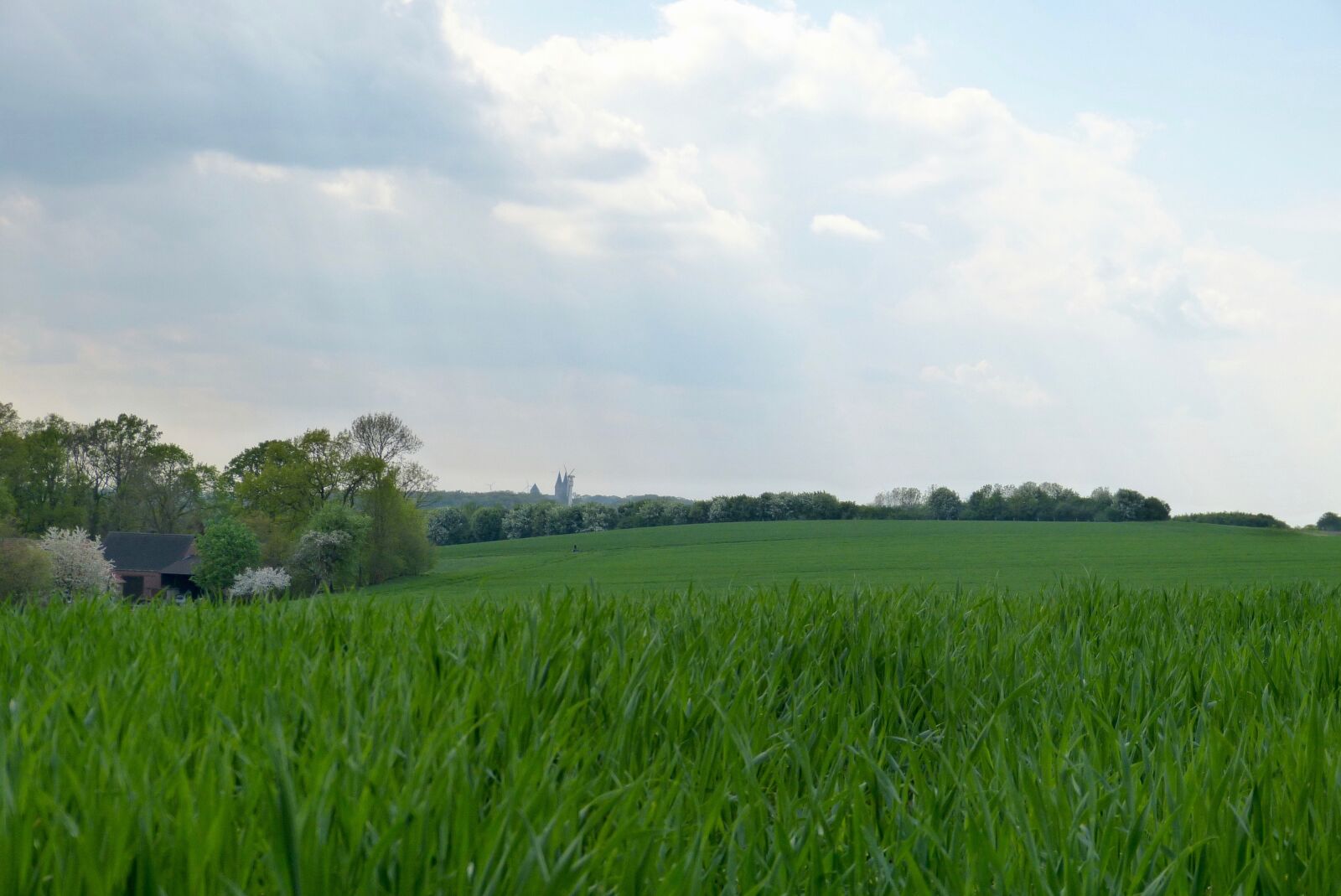 Panasonic Lumix DMC-FZ150 sample photo. Landscape, green, field photography