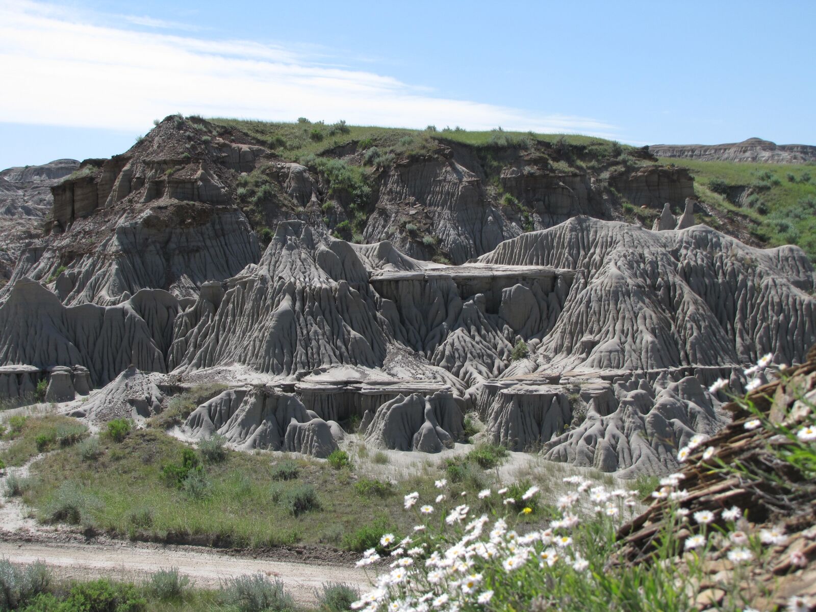 Canon PowerShot SX10 IS sample photo. Badlands, fossils, drumheller photography