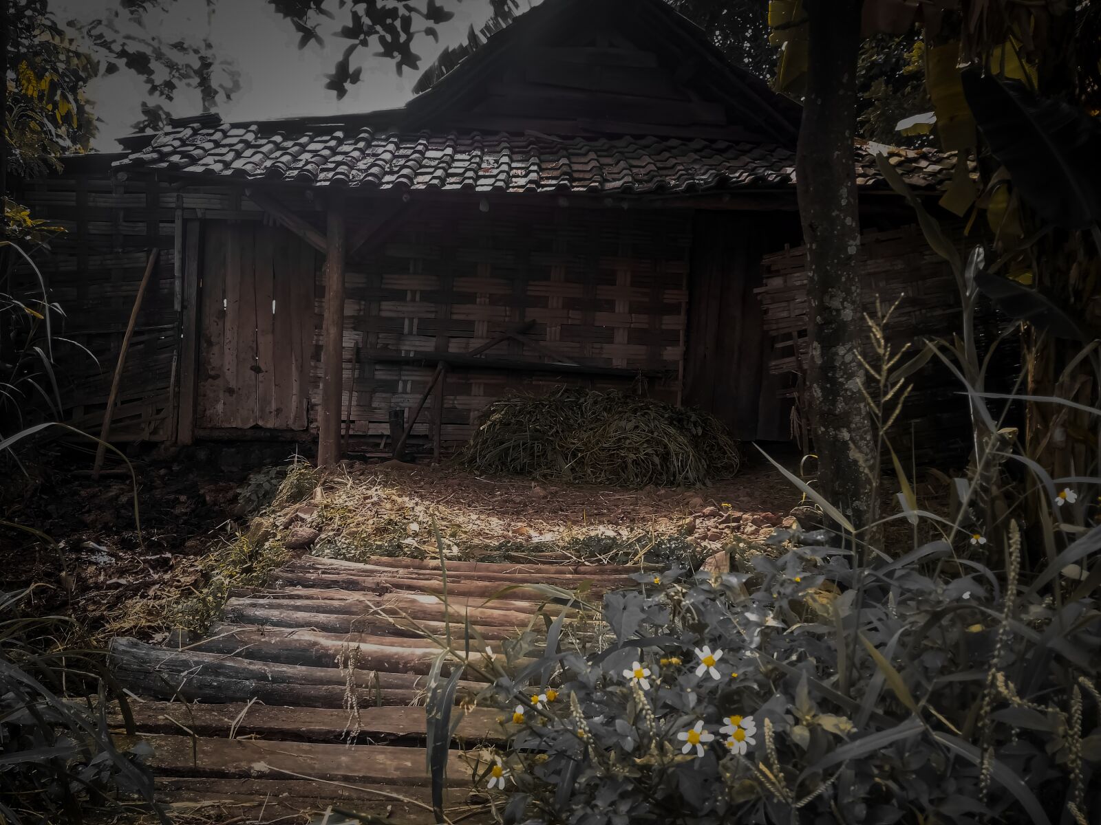 OPPO A7 sample photo. Rumah, kayu, rumah kosong photography