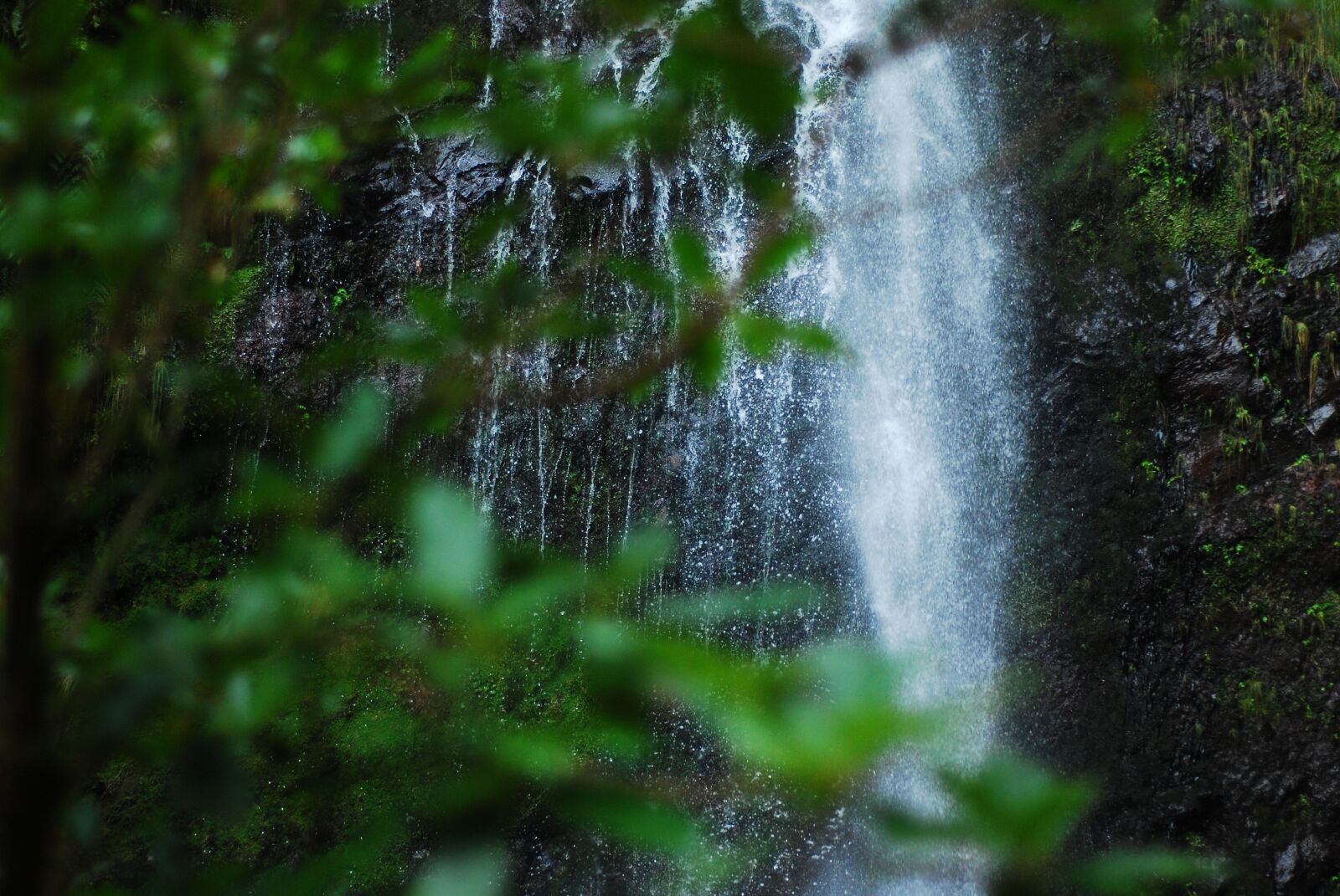 Nikon D80 sample photo. Waterfall, greenery, mountain photography