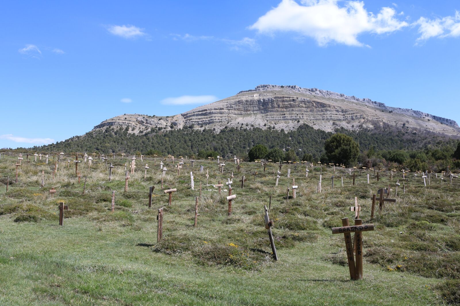 Canon EOS 750D (EOS Rebel T6i / EOS Kiss X8i) sample photo. Photography, cemetery, sad photography