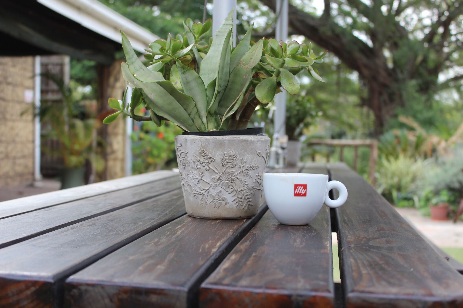 Canon EOS 1200D (EOS Rebel T5 / EOS Kiss X70 / EOS Hi) sample photo. Illy, coffee, americano photography