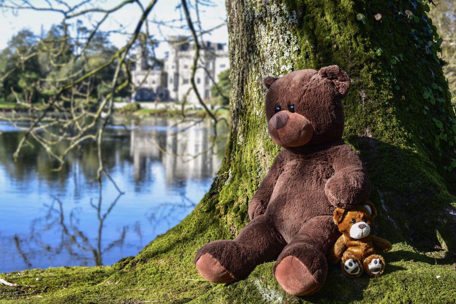 Nikon D750 sample photo. Teddy, soft toy, toy photography