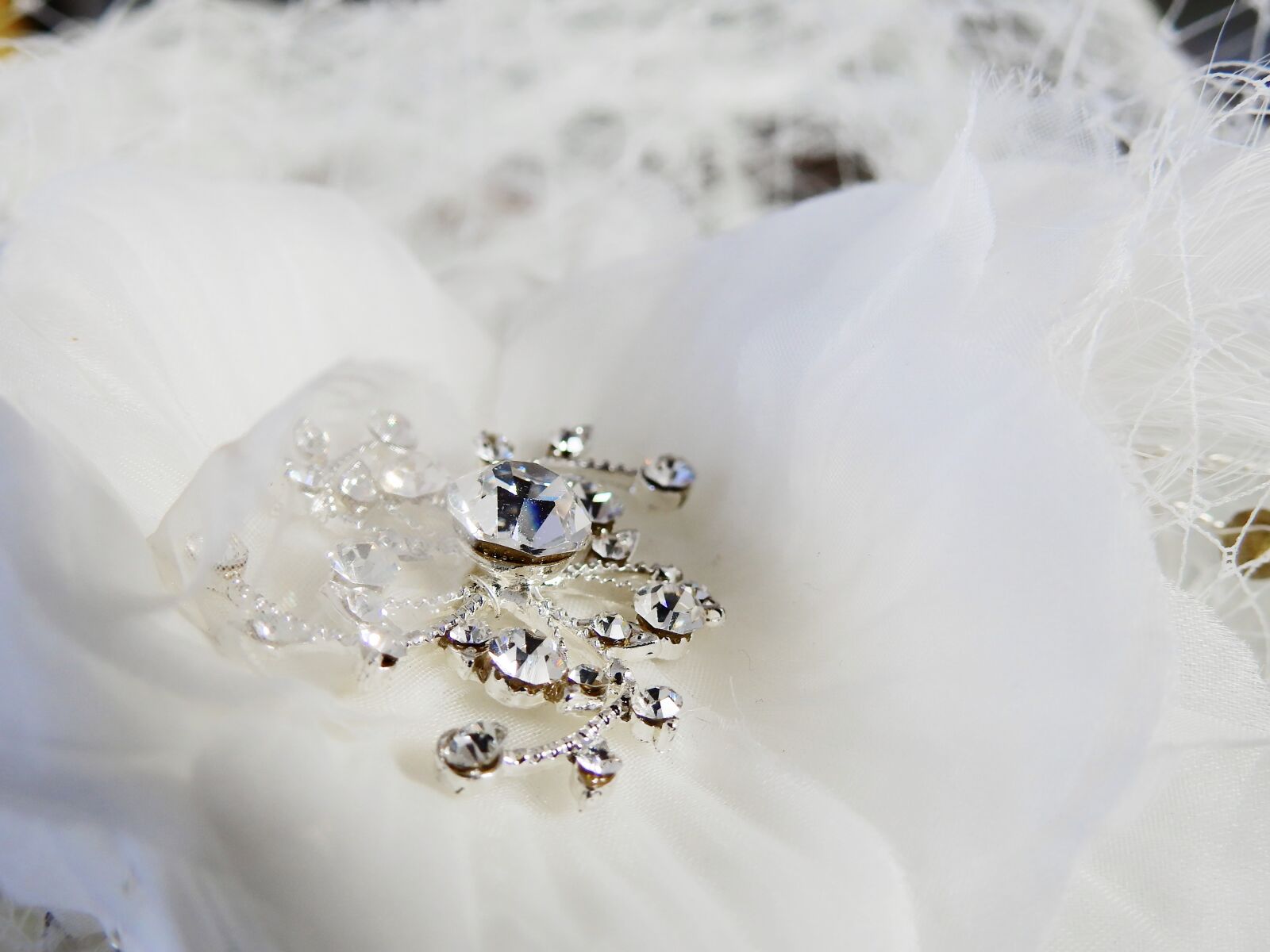 Nikon Coolpix P900 sample photo. Jewellery, deco, decoration photography