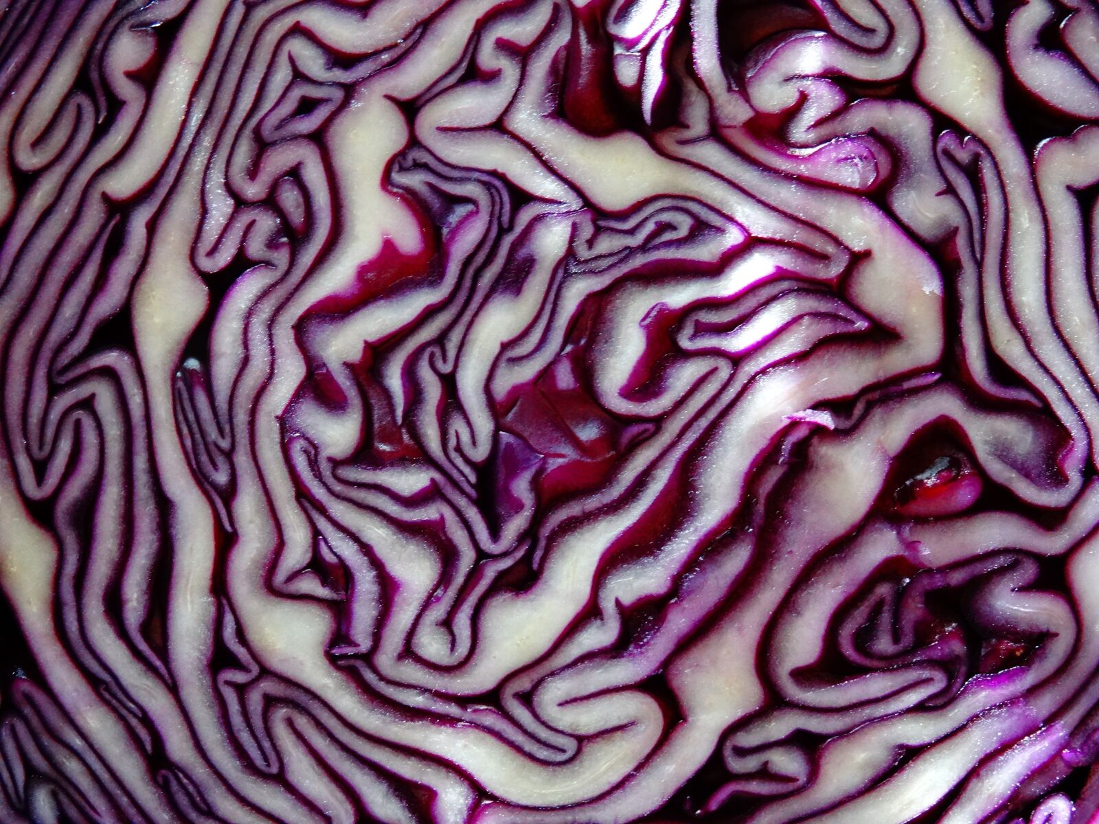 Sony DSC-HX50 sample photo. Fruits and vegetables, cabbage photography