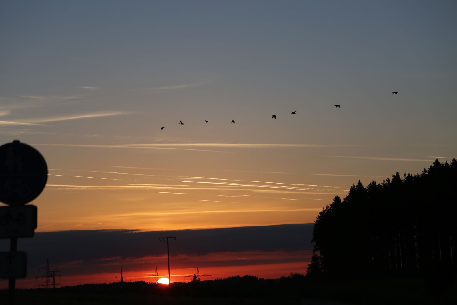 Canon EF 24-105mm F4L IS USM sample photo. Sky, evening, birds photography