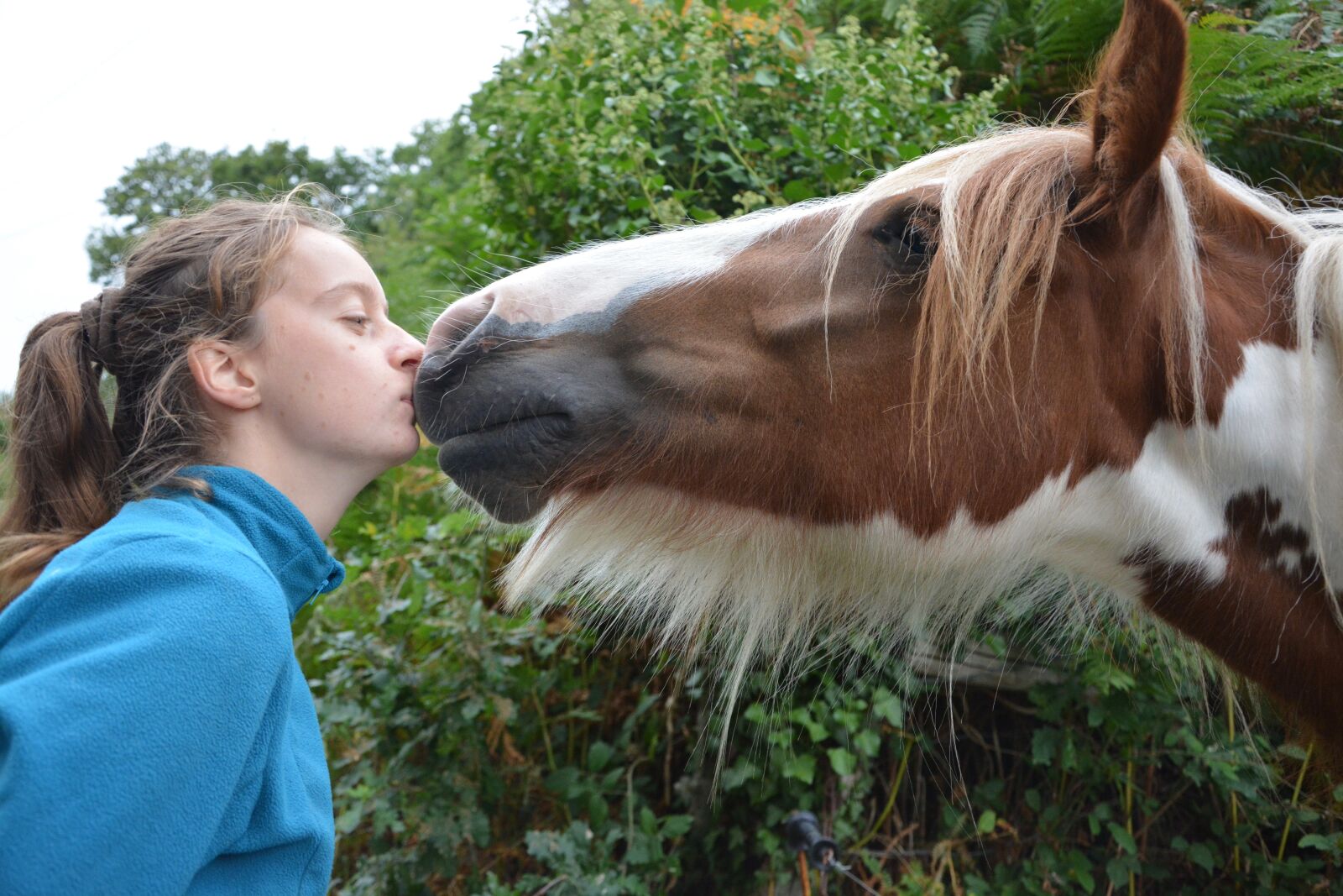 Nikon D5200 sample photo. Kiss, horse, girl photography