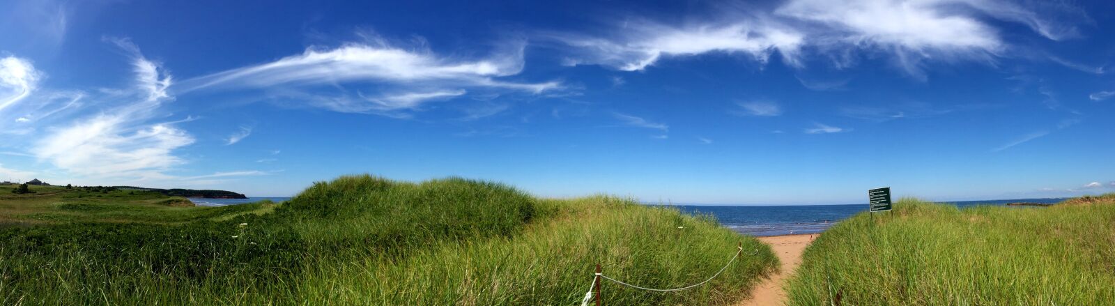 iPhone 6 Plus back camera 4.15mm f/2.2 sample photo. North rustico, prince edward photography