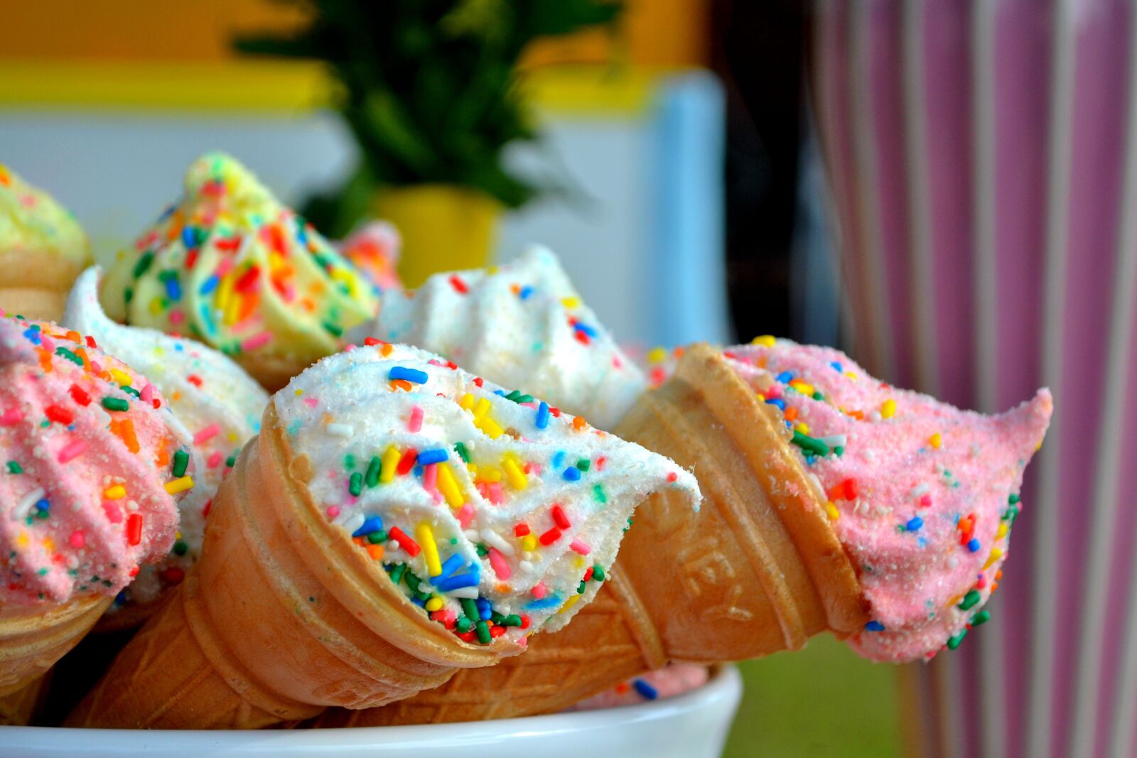 Nikon D3100 sample photo. Candy, colorful, colourful photography
