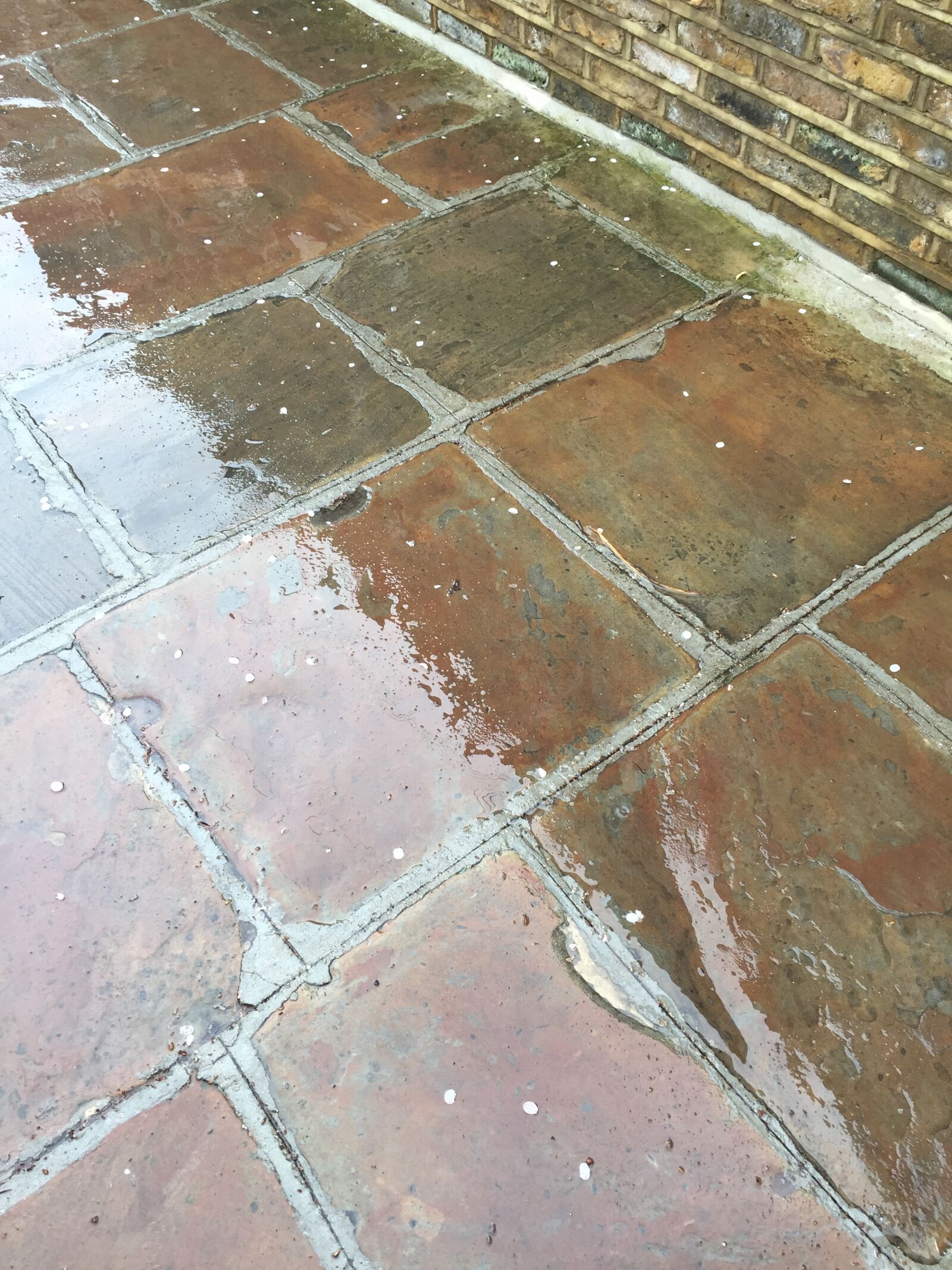 iPhone 6 back camera 4.15mm f/2.2 sample photo. Bad, weather, brick, paving photography