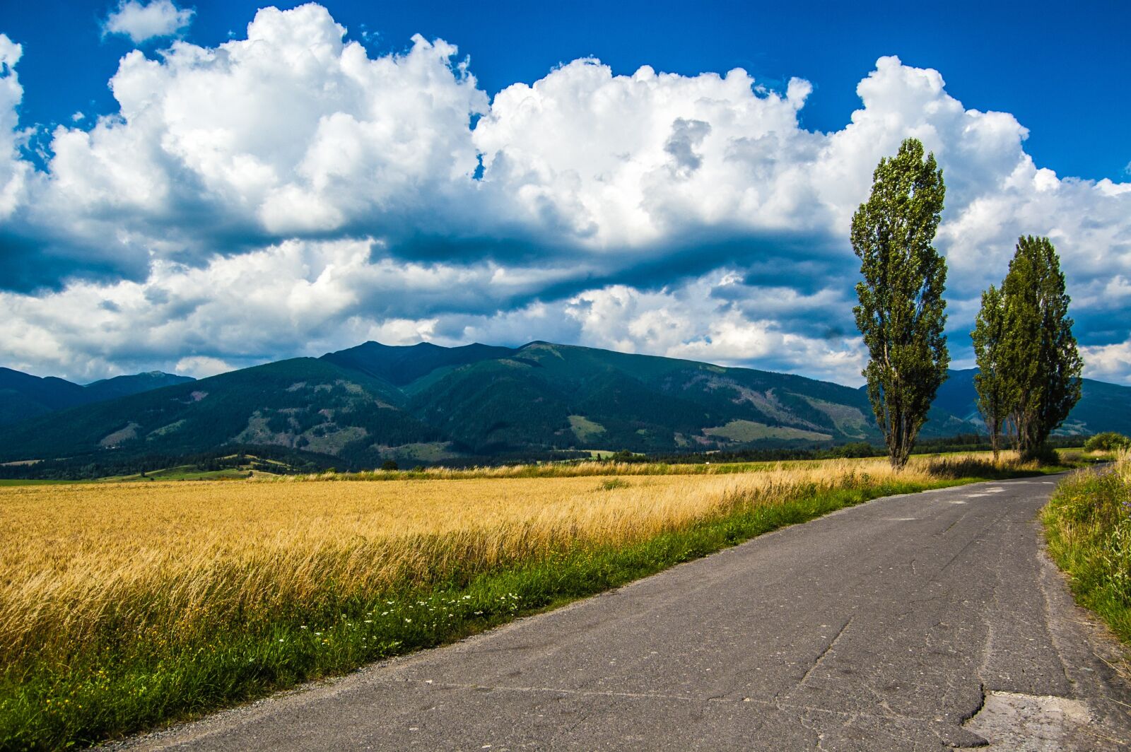 Nikon D40 sample photo. Baranes, mountains, path photography