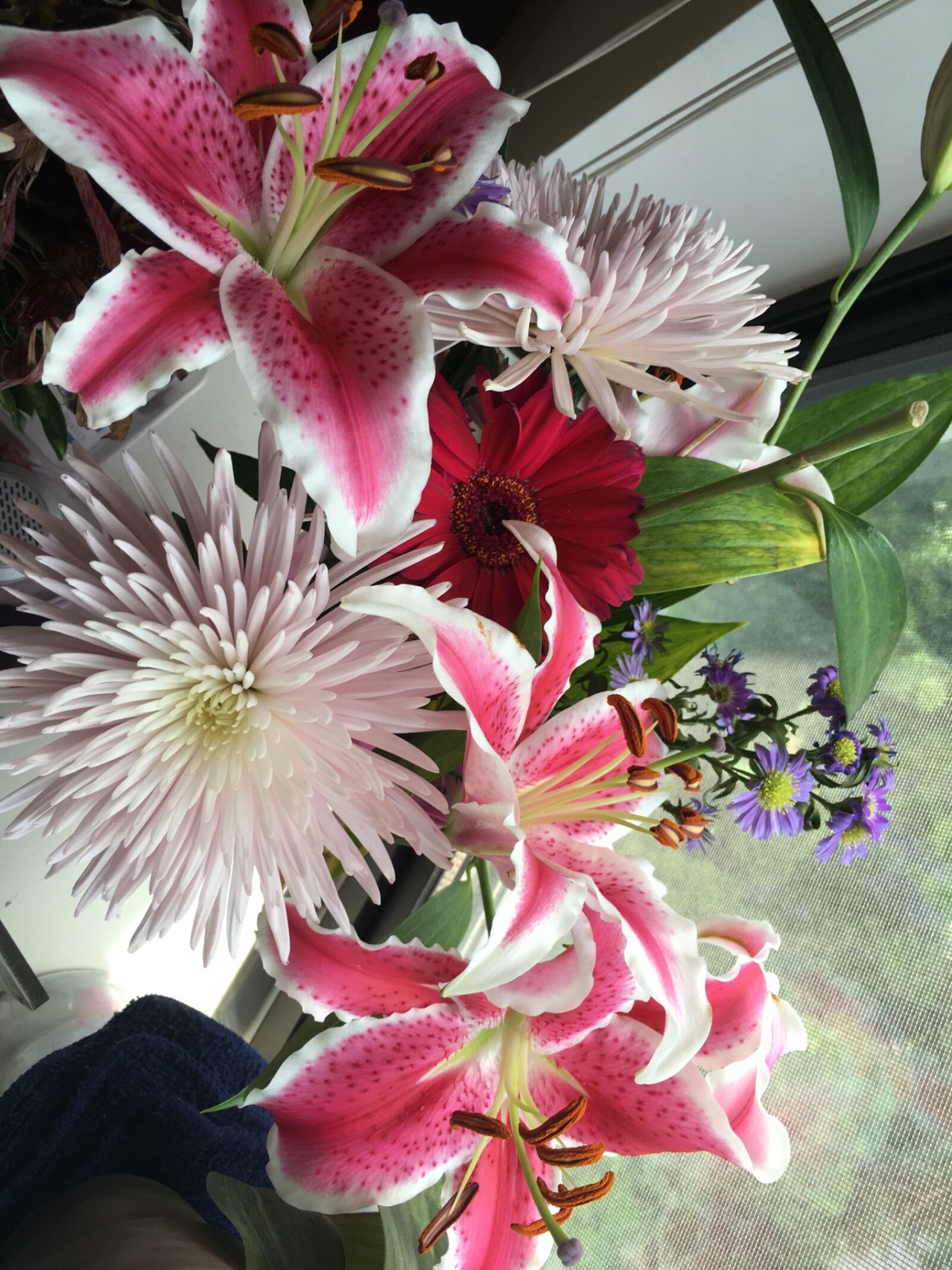 iPhone 6s Plus back camera 4.15mm f/2.2 sample photo. Bad, day, bouquet photography