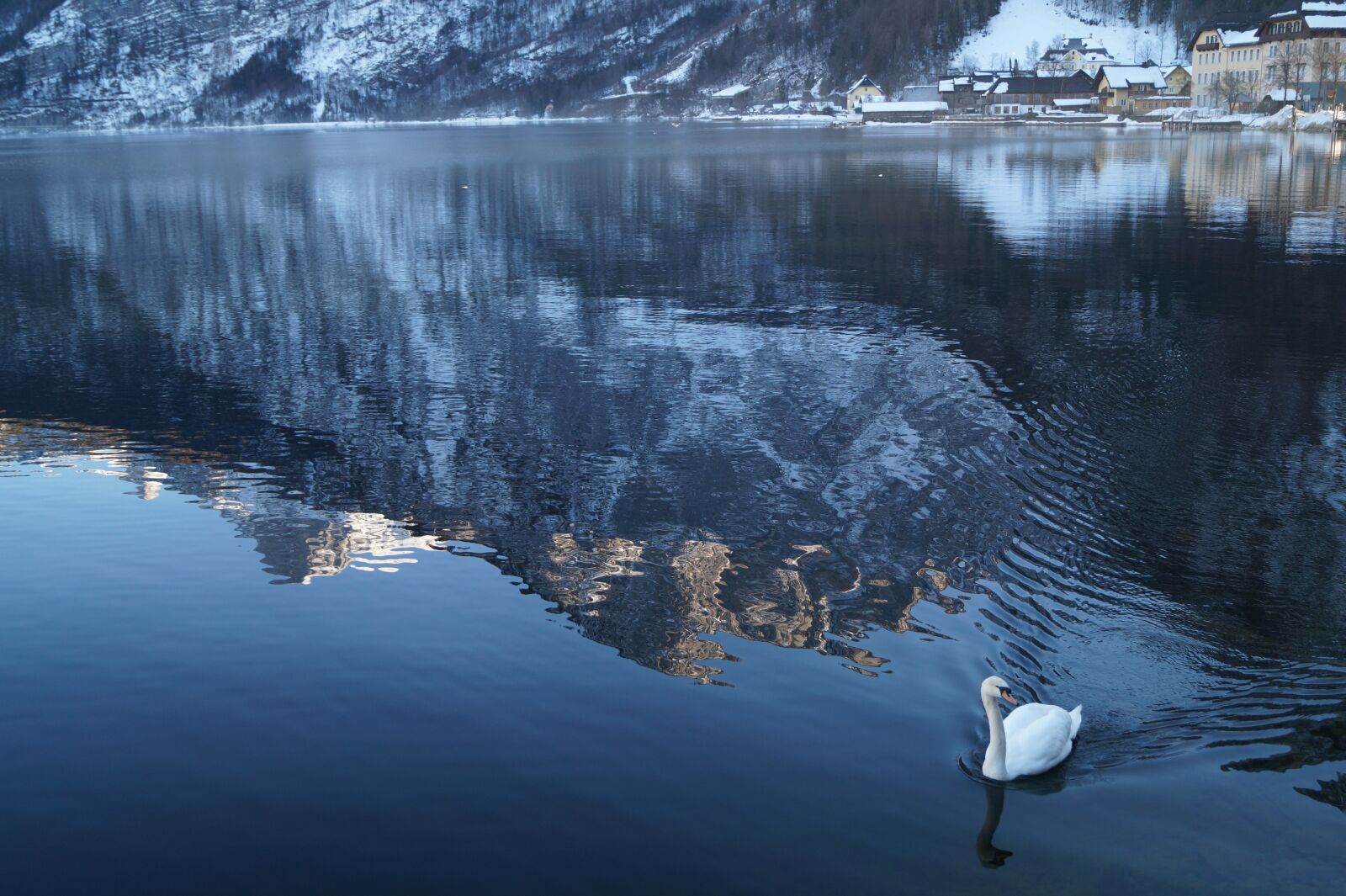 Sony SLT-A58 sample photo. Austria, hallstatt, duck photography
