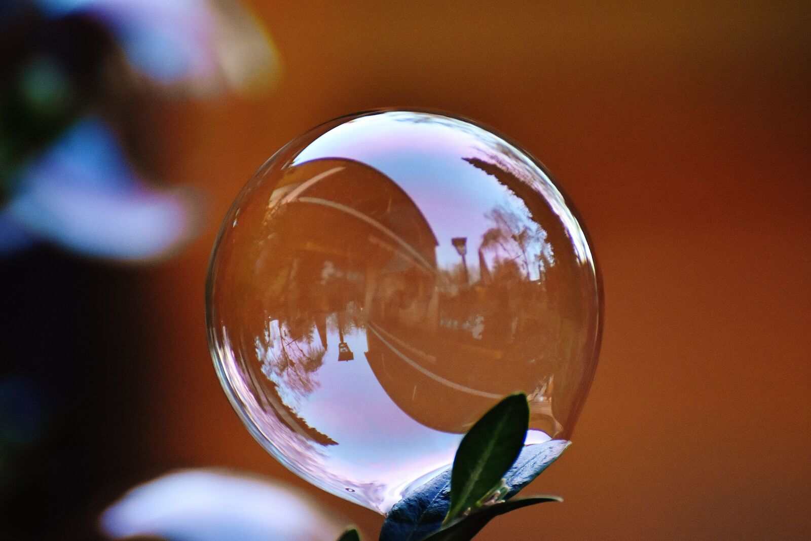 Nikon D7200 sample photo. Soap bubble, colorful, buxbaum photography