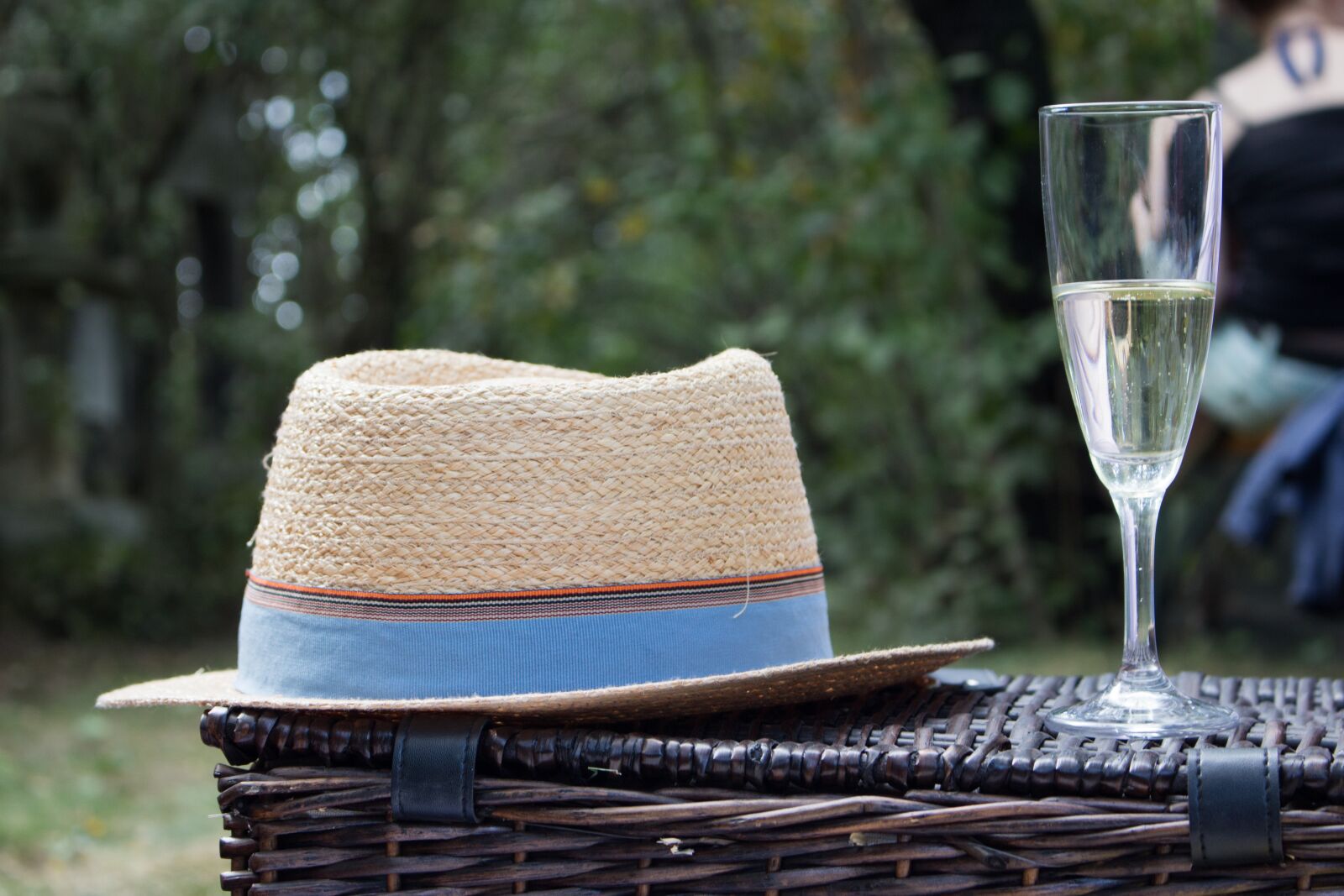Canon EOS 700D (EOS Rebel T5i / EOS Kiss X7i) sample photo. Picnic, hats, champagne photography