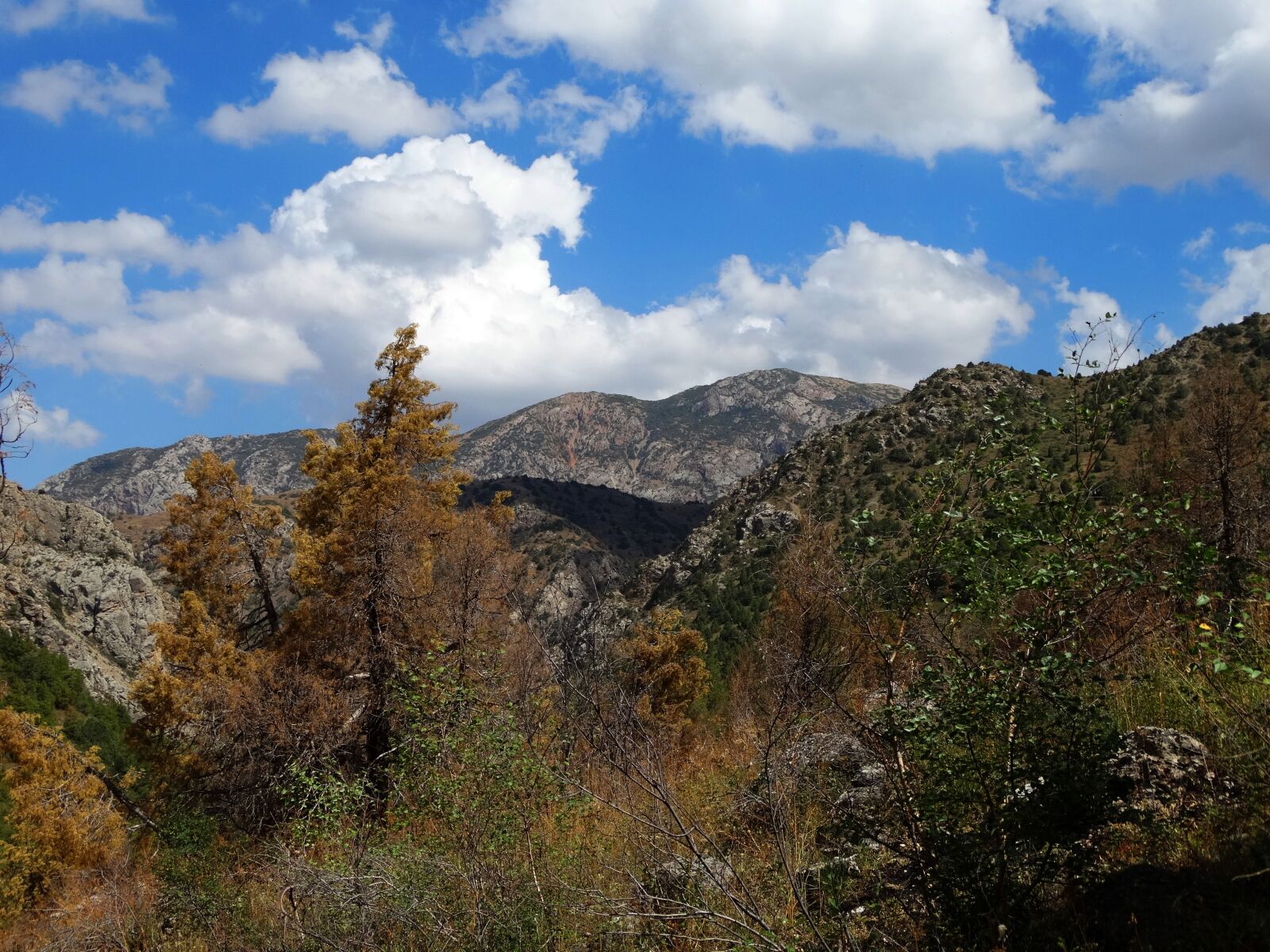 Sony Cyber-shot DSC-HX300 sample photo. Mountains, kazakhstan, shymkent photography