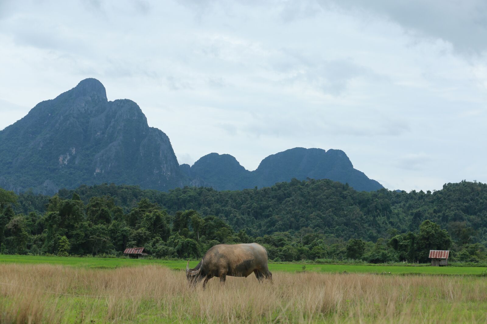 Canon EOS 6D sample photo. Laos, vang vieng, the photography