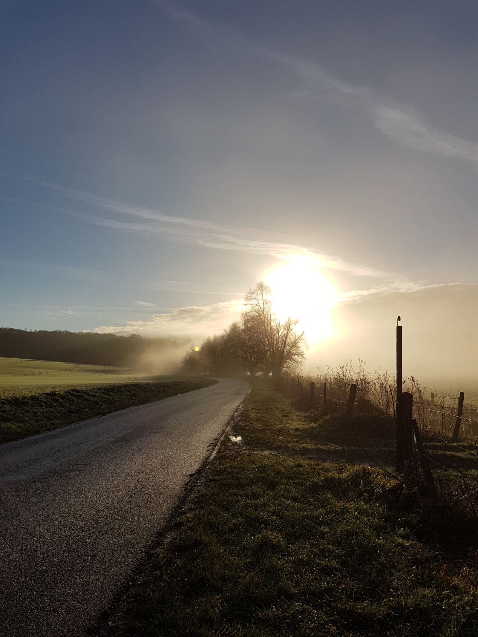 Samsung Galaxy S7 sample photo. Mist, morning, field photography