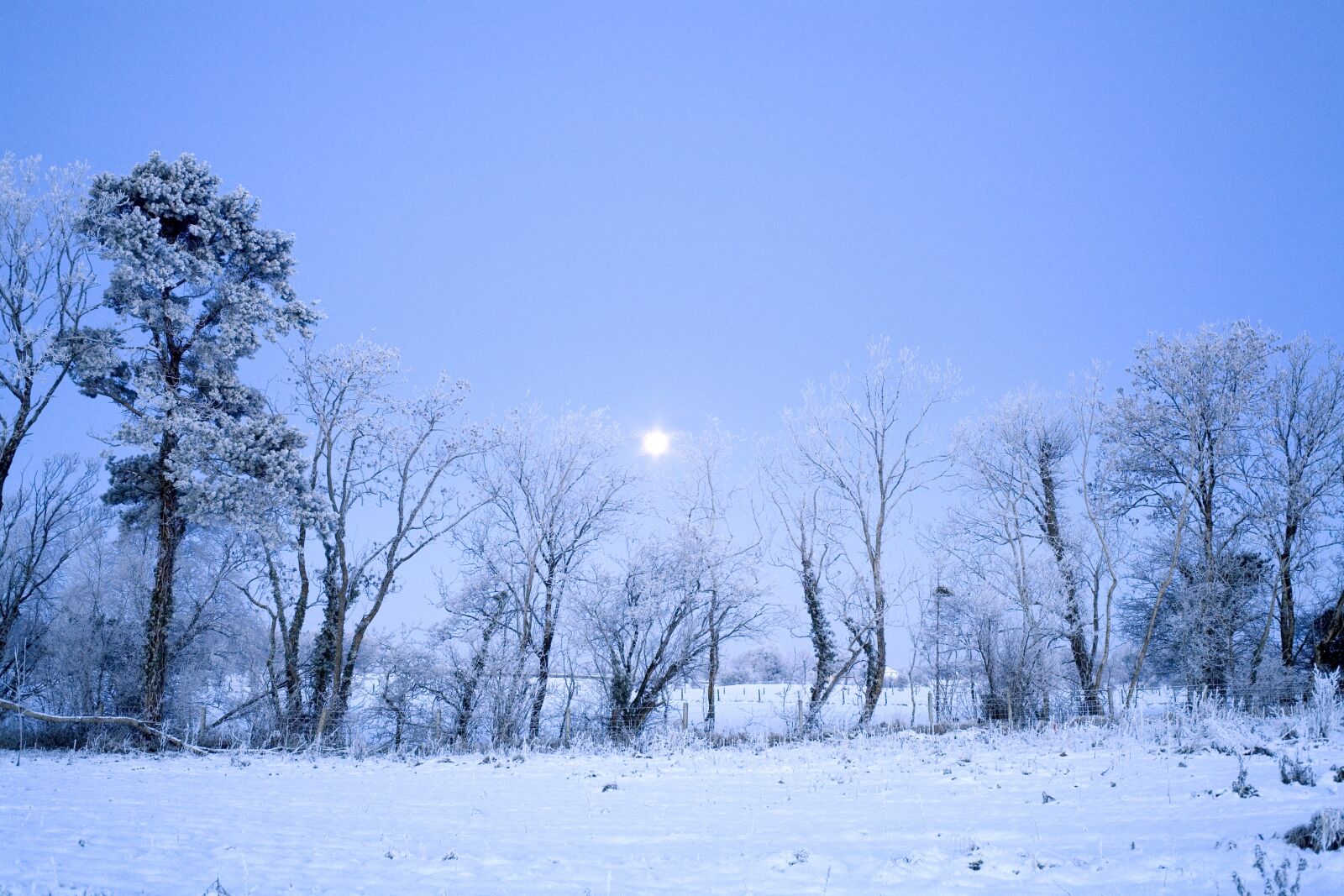 Canon EOS 5D sample photo. Frost, landscape, winter photography