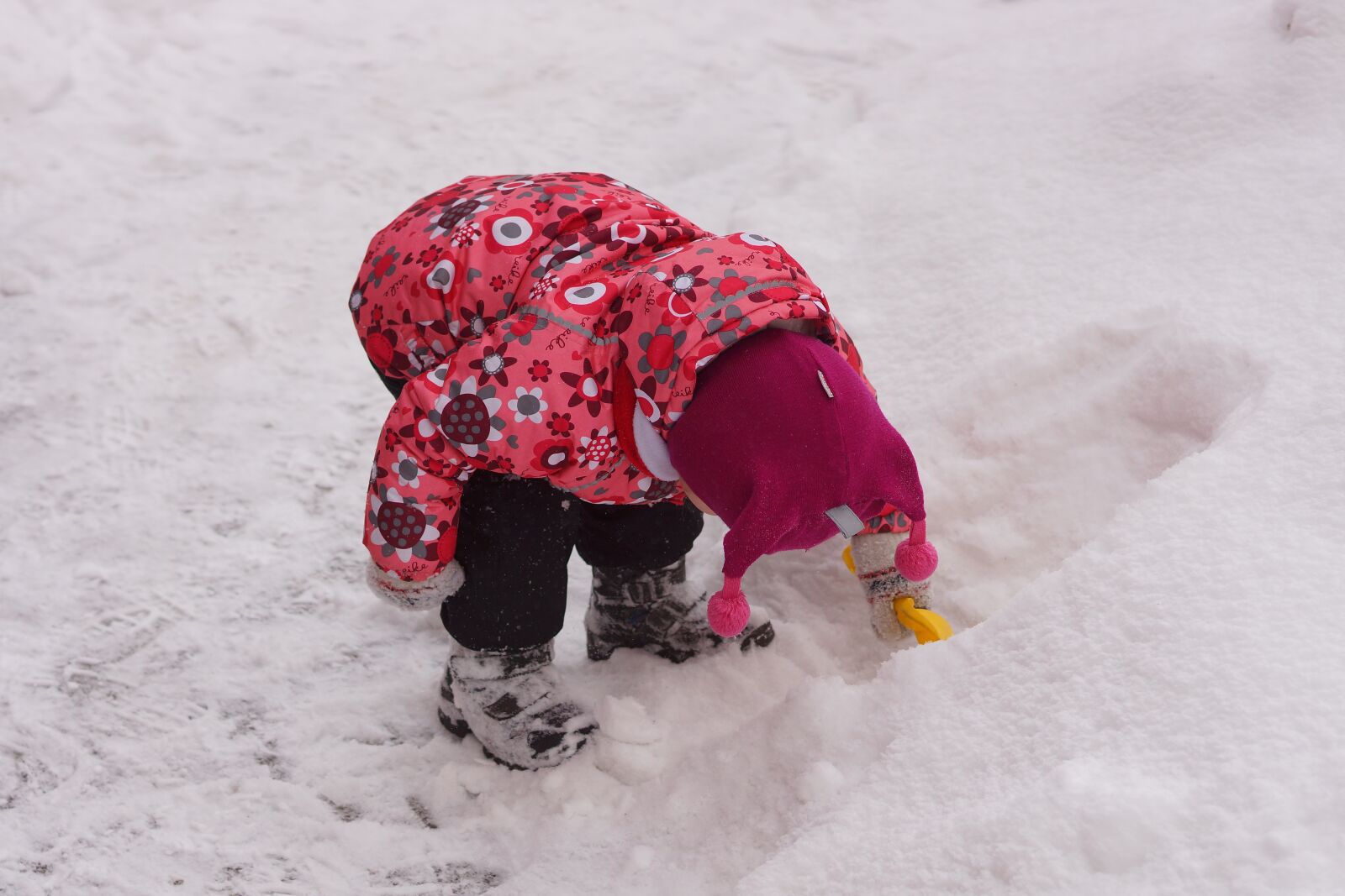 Sony SLT-A65 (SLT-A65V) sample photo. Kids, snow, winter photography