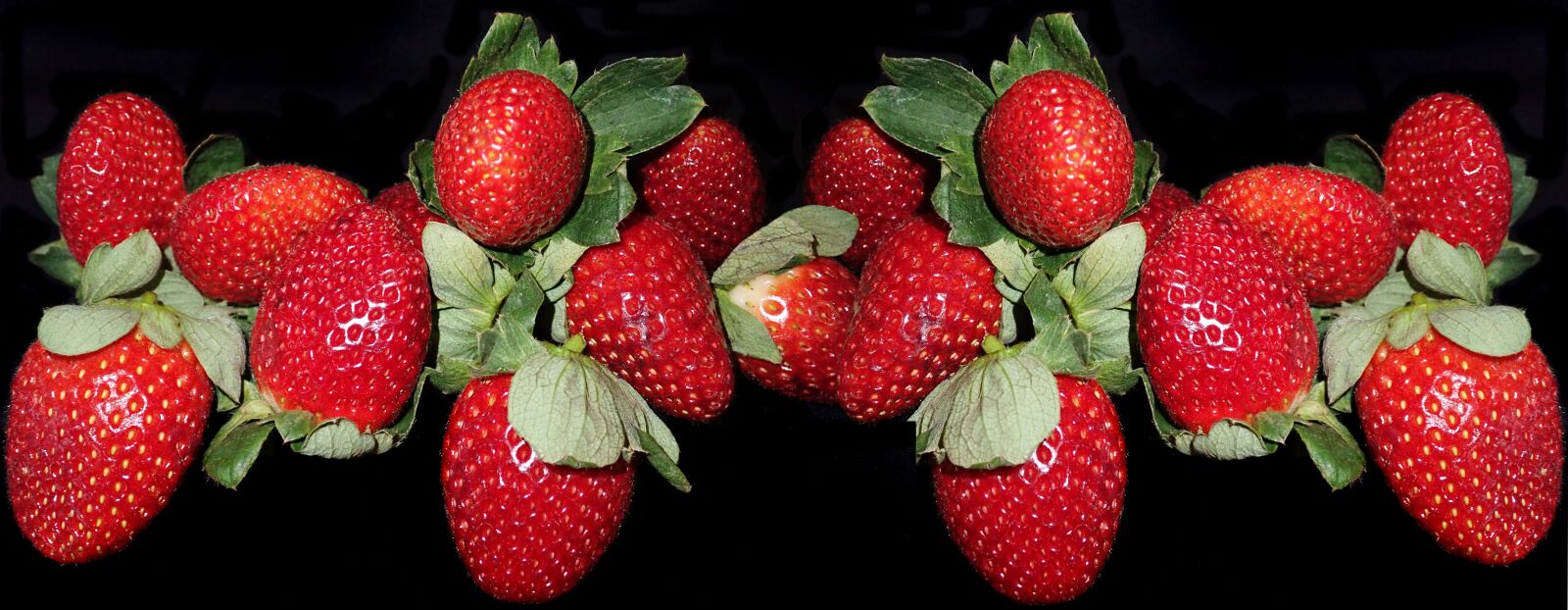 Olympus TG-5 sample photo. Fruit, strawberries, fresh photography