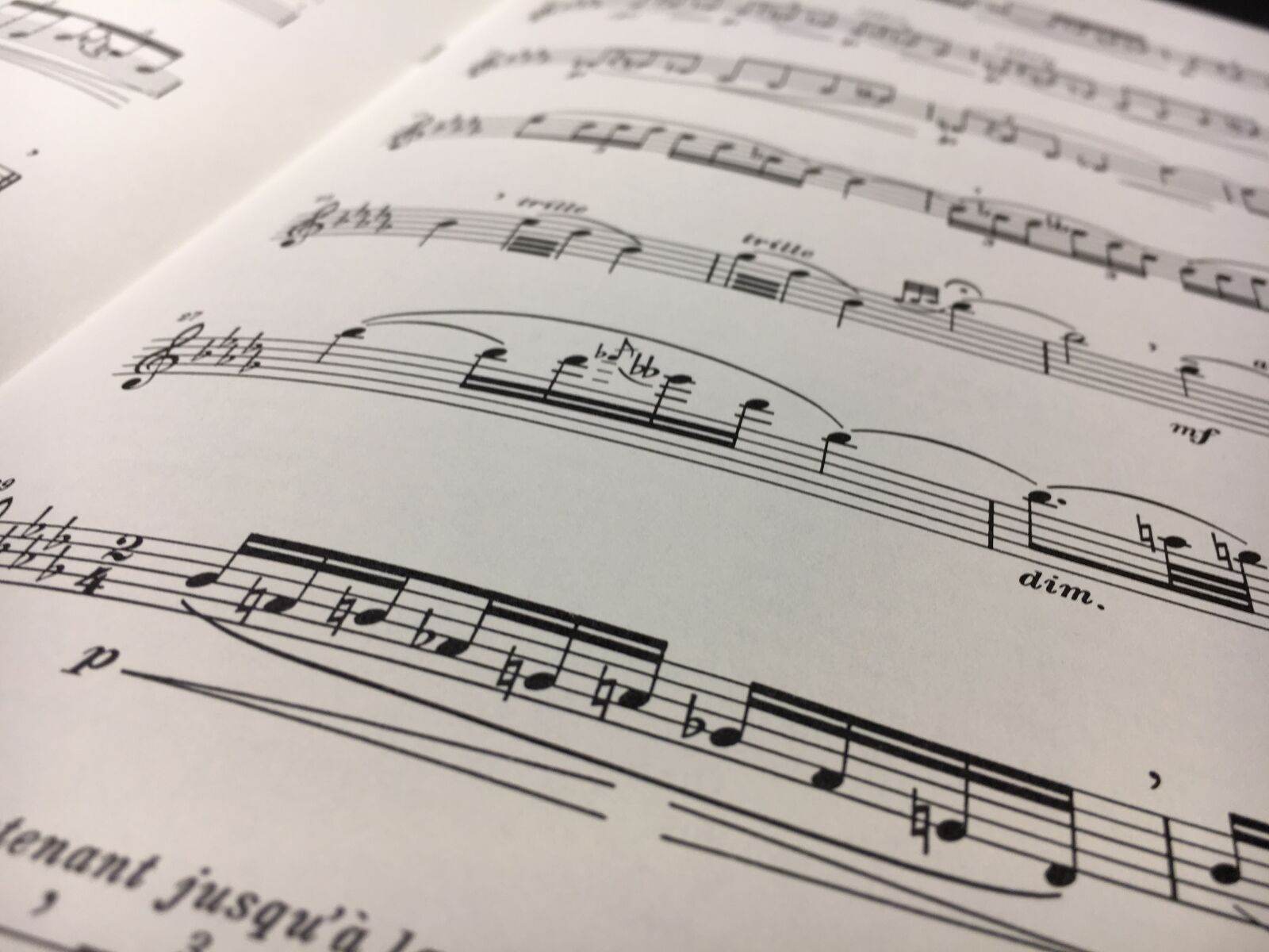 Apple iPhone 6s sample photo. Music, musical notes, flute photography