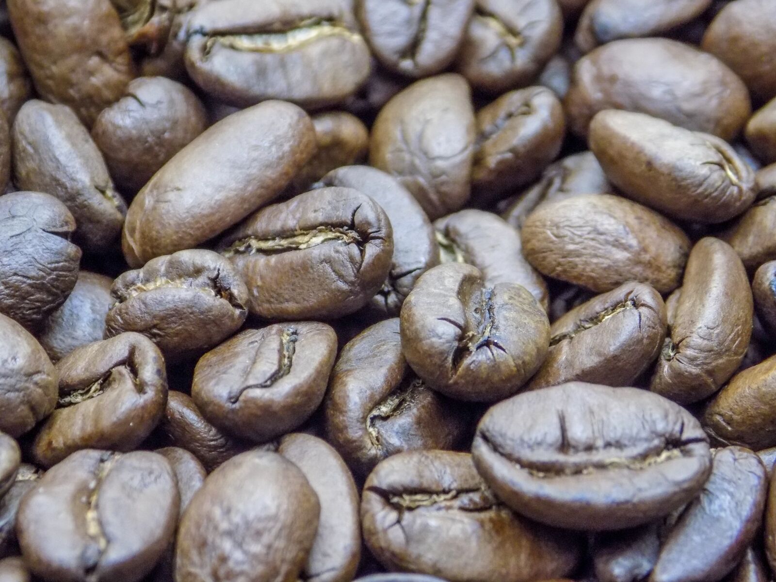 Nikon COOLPIX L330 sample photo. Coffee, grains, black photography