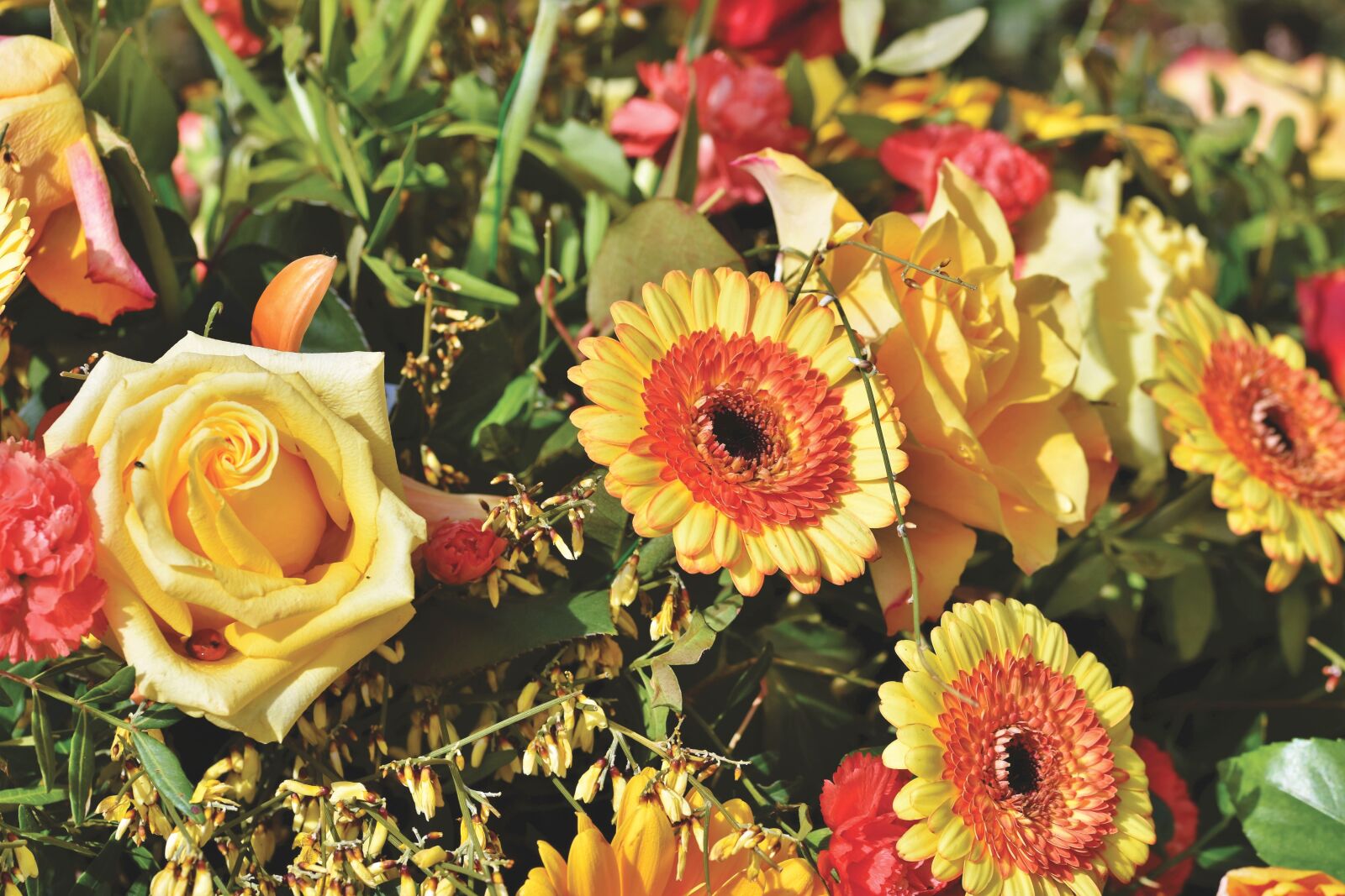 Nikon D7200 sample photo. Bouquet, flowers, roses photography